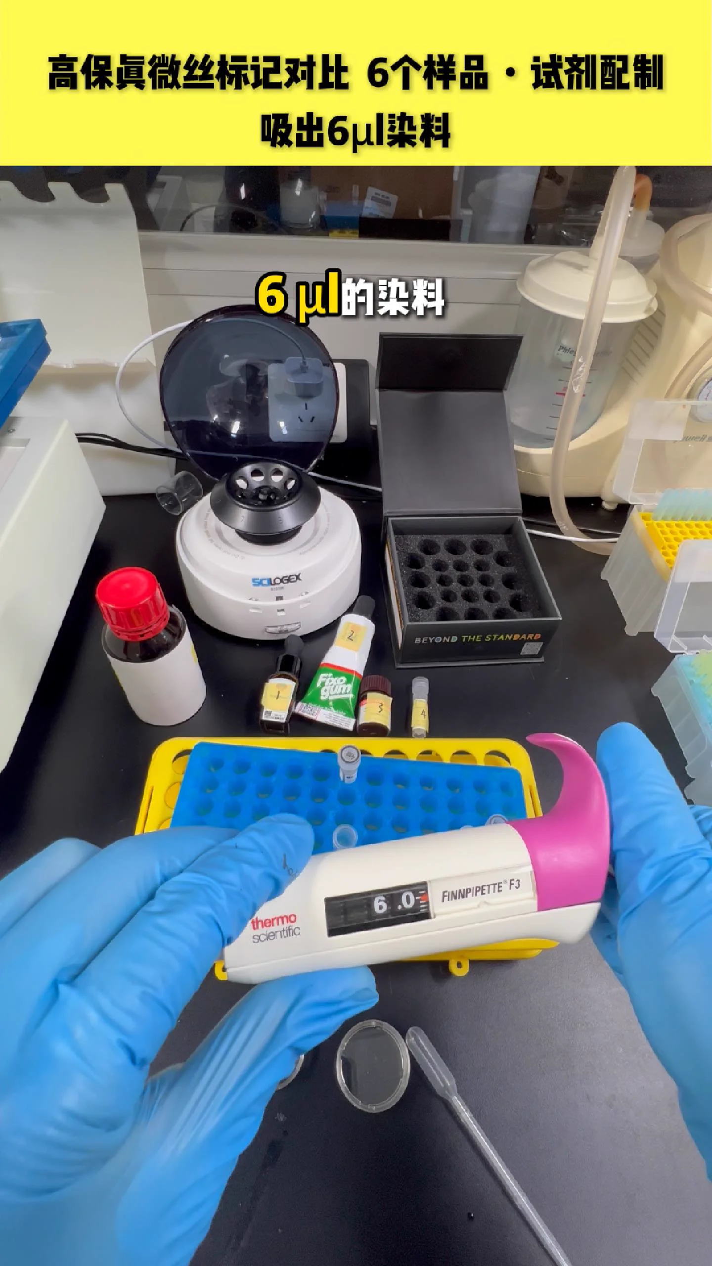 acti-stain 488 phalloidin 染料