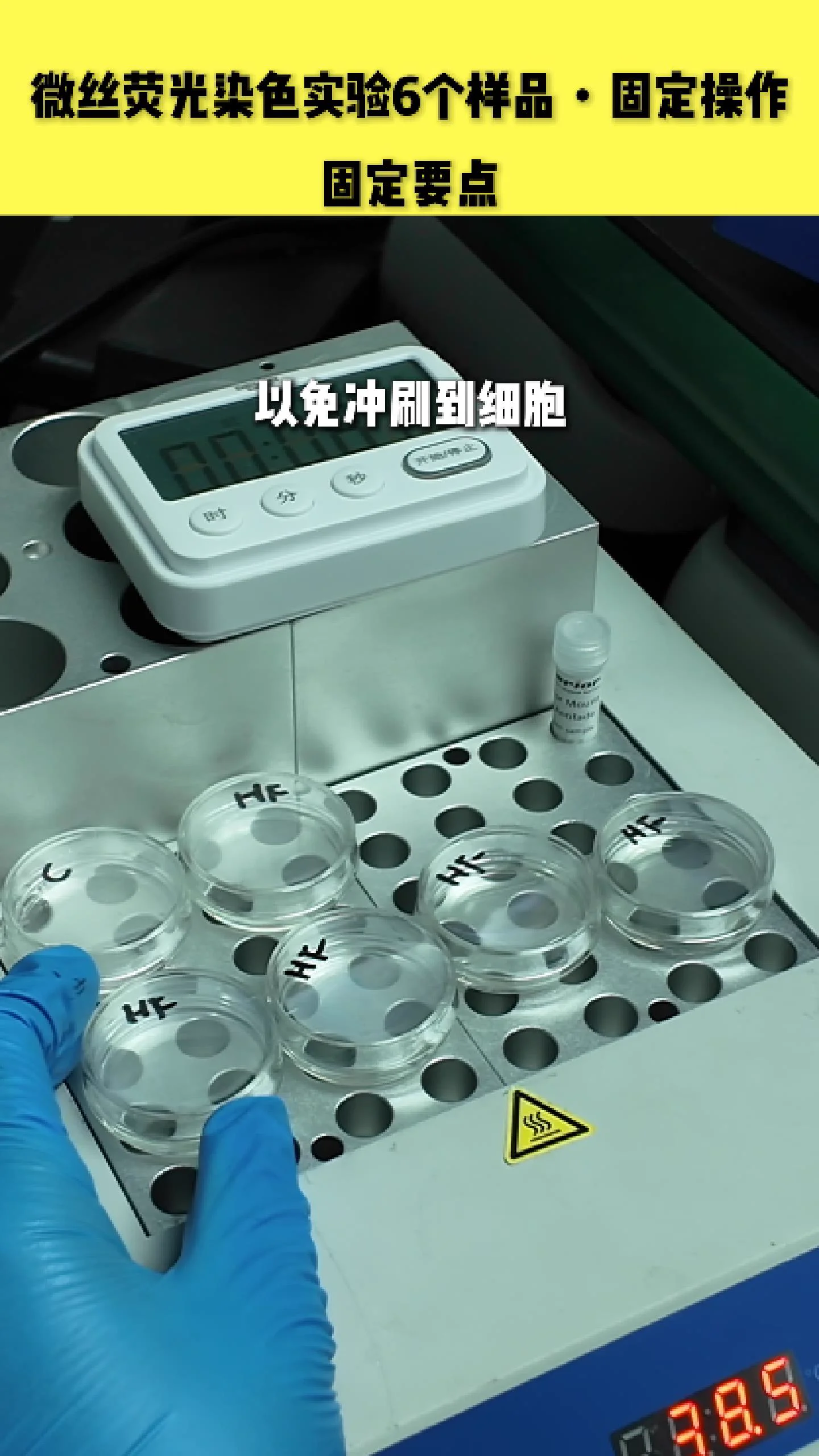 加固定液手法