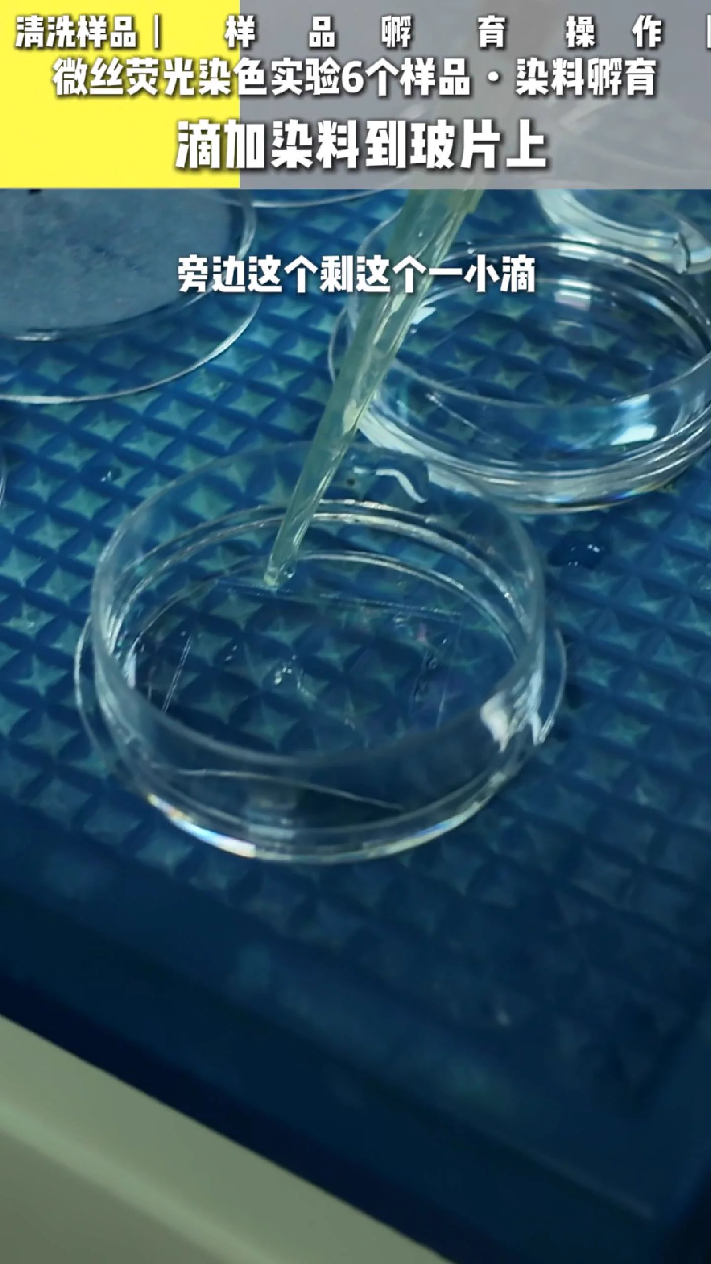 滴染料操作