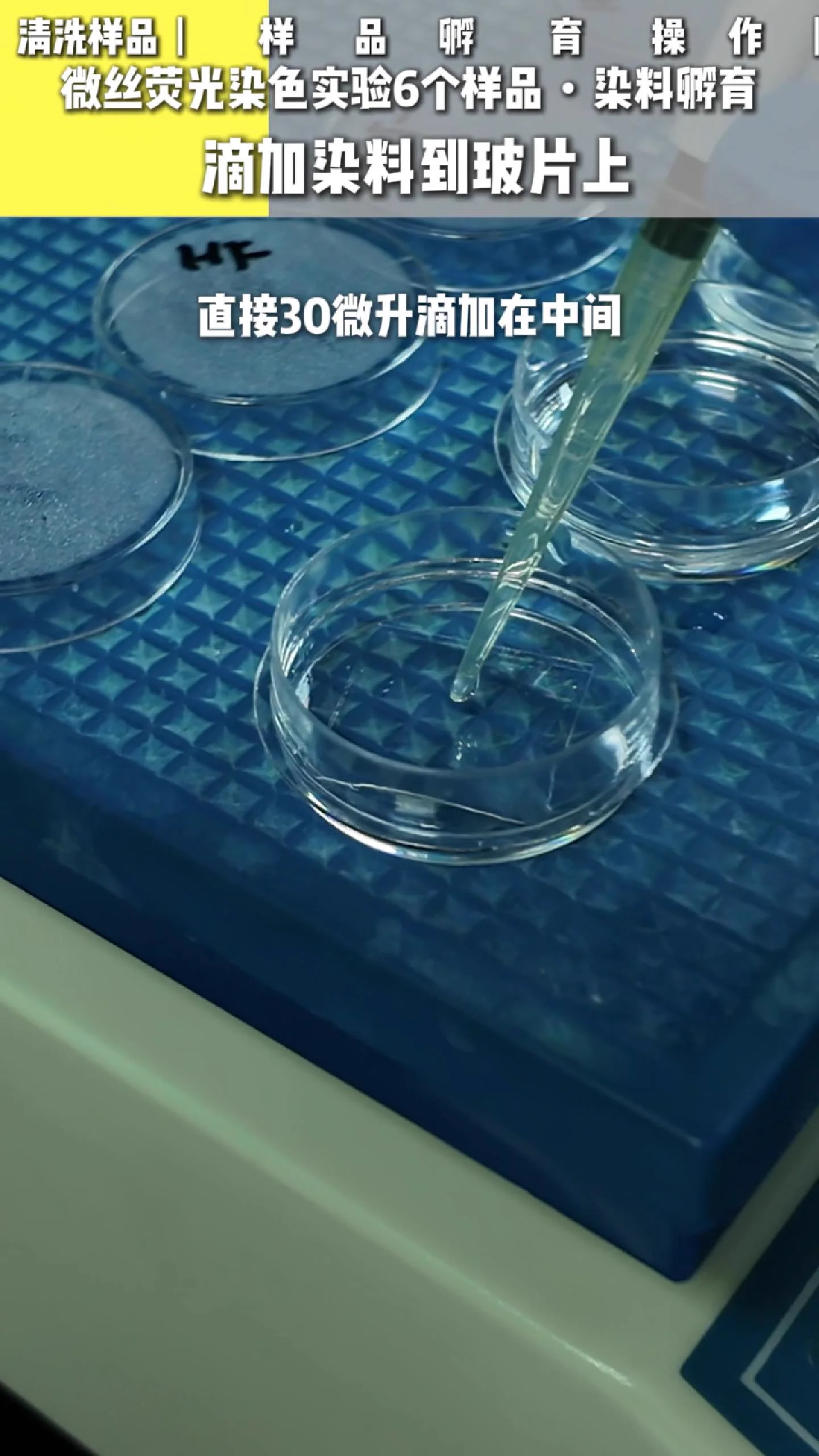 滴染料操作
