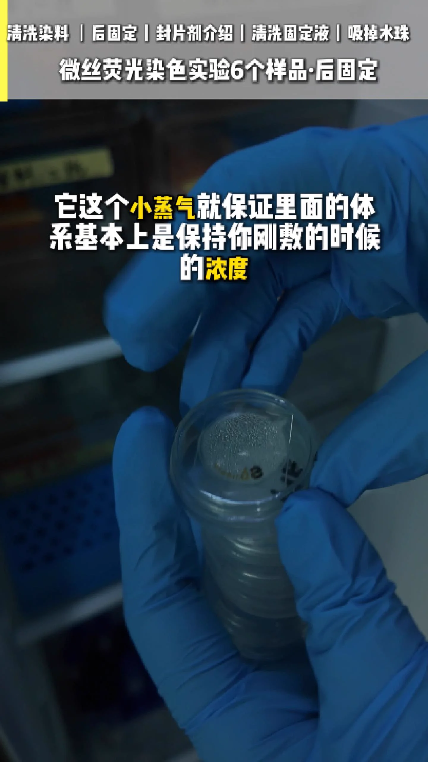 清洗染料