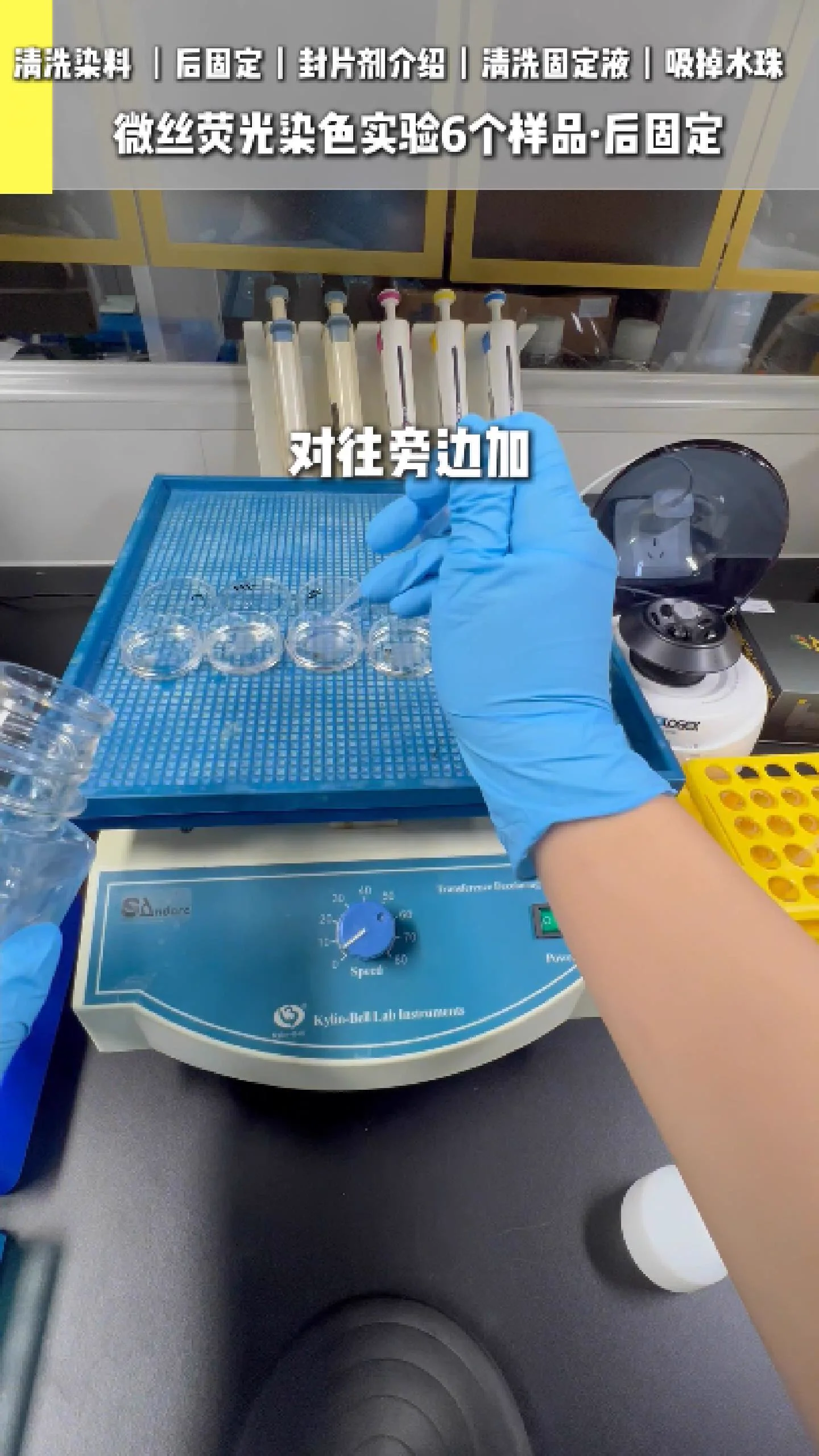 清洗染料 2