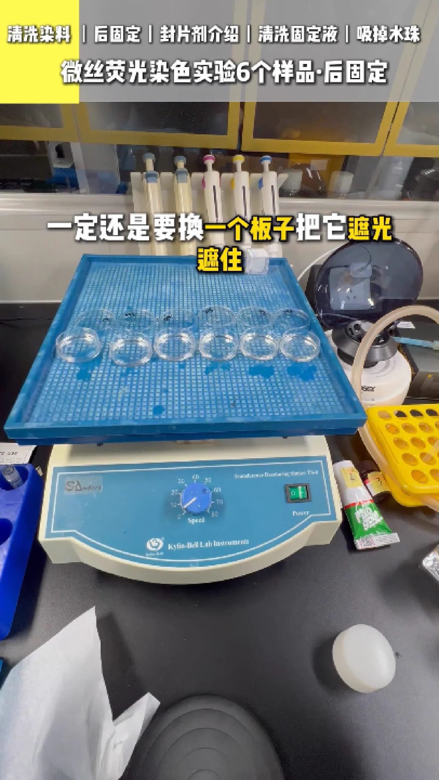 清洗染料 7