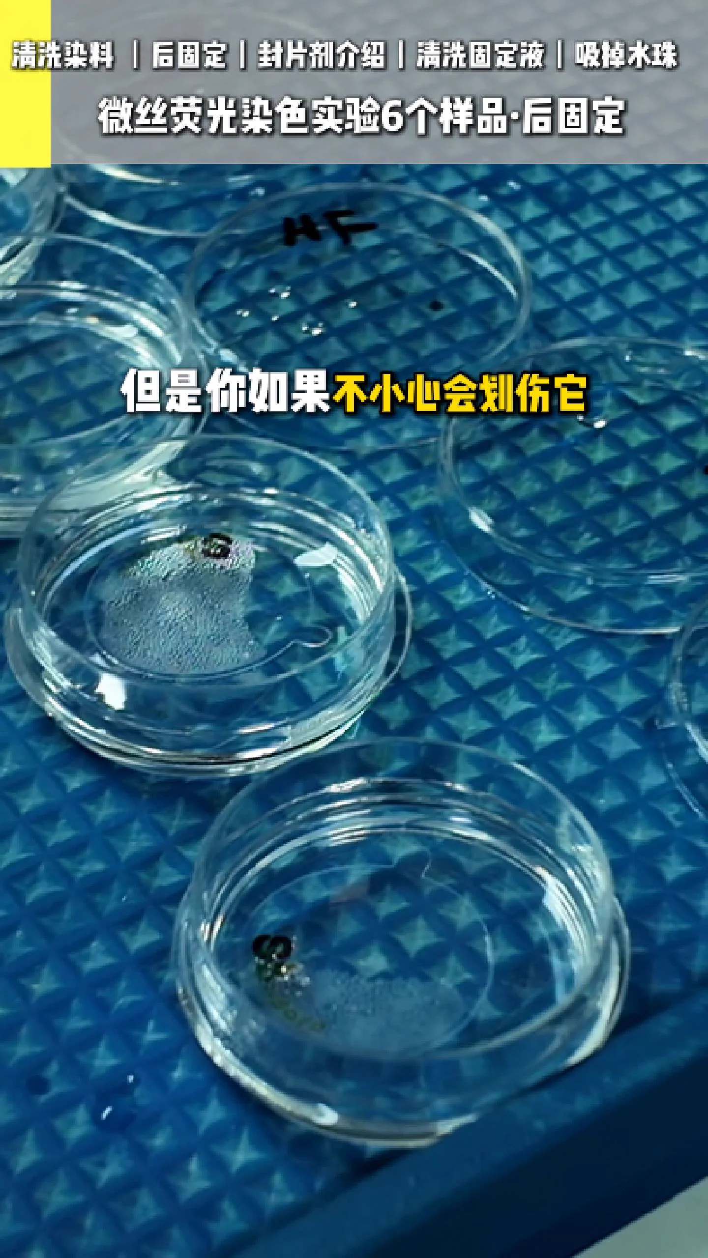 清洗染料 4