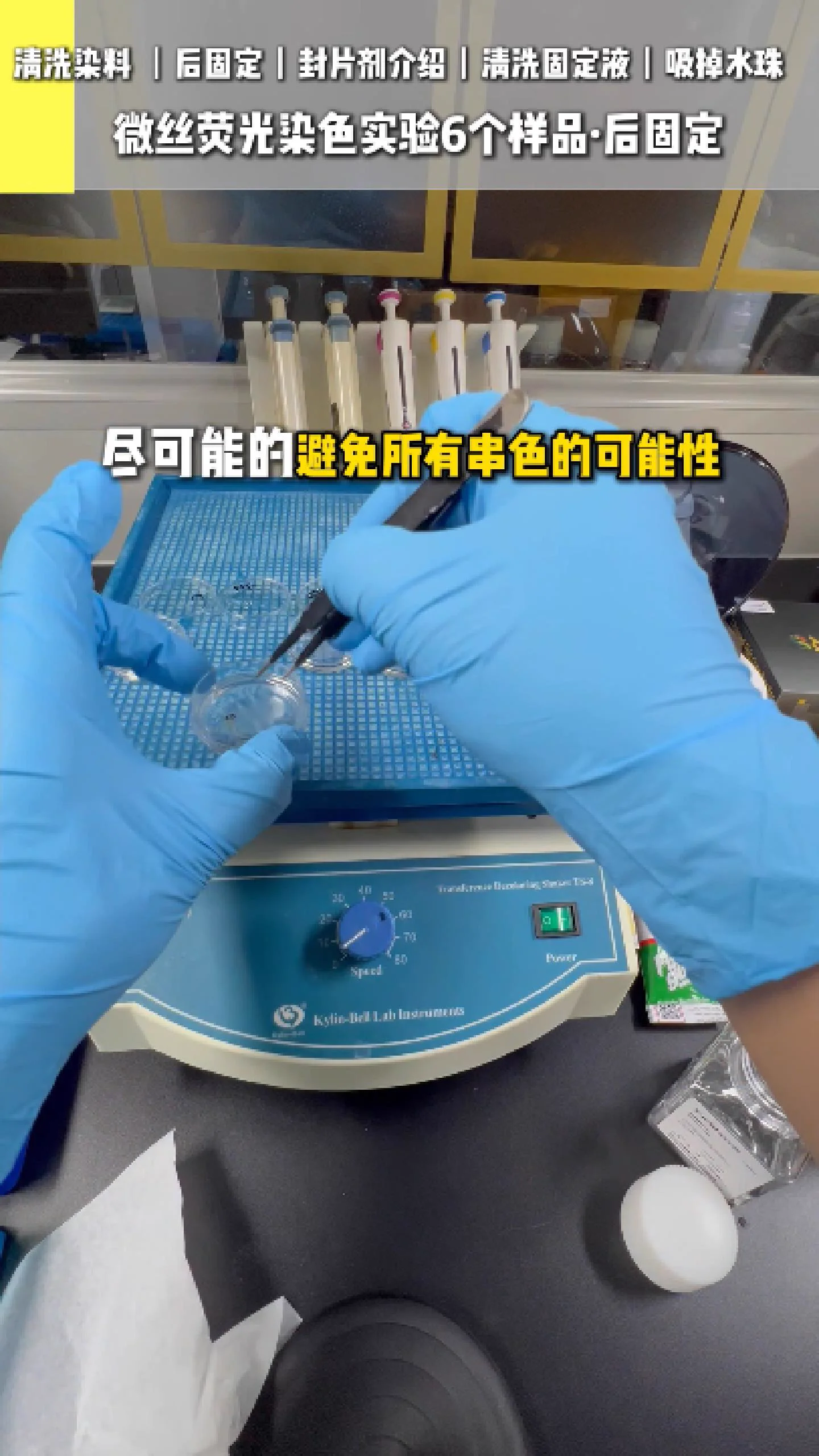 清洗染料 6