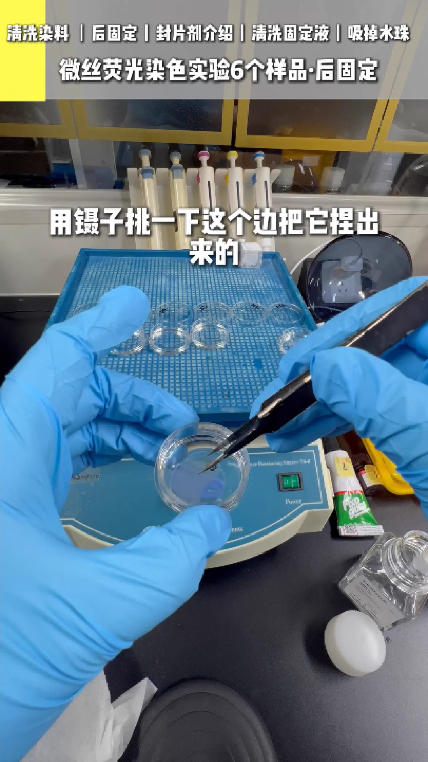 清洗染料 3