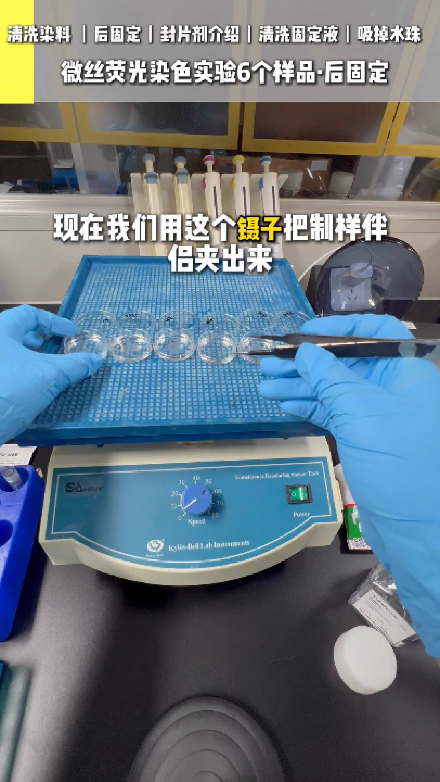 清洗染料 5