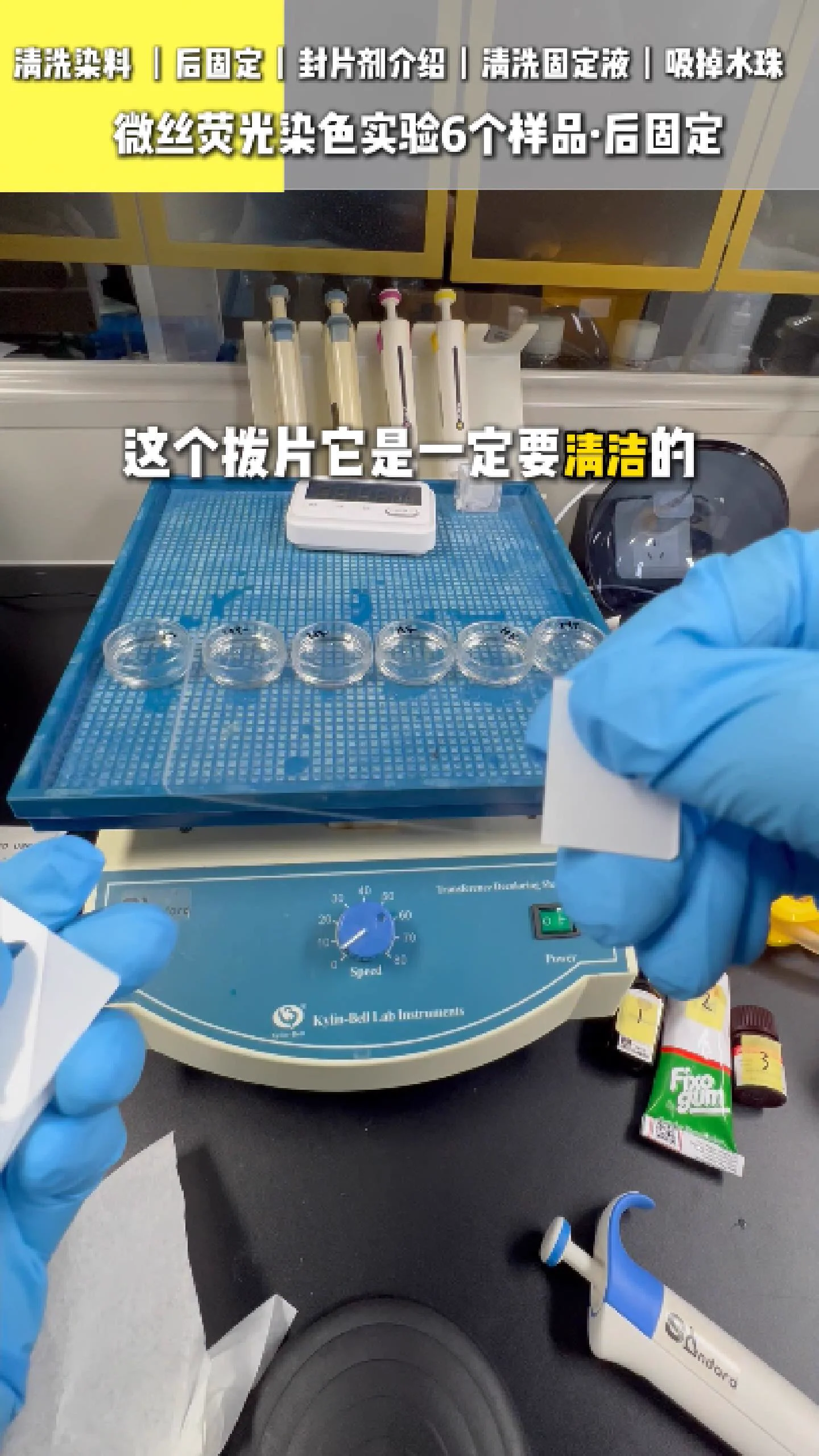 清洁玻片 6