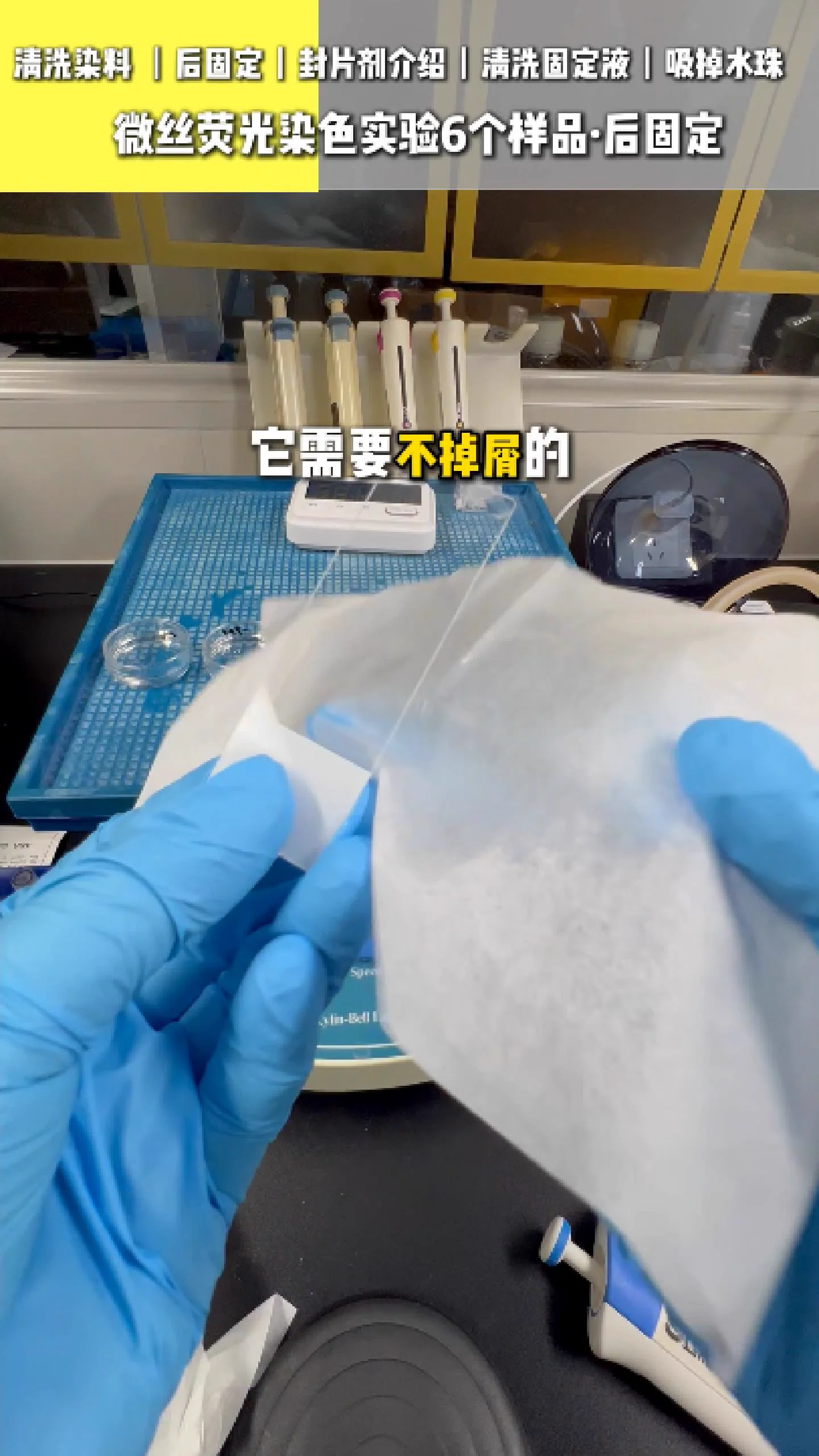 清洁玻片 7