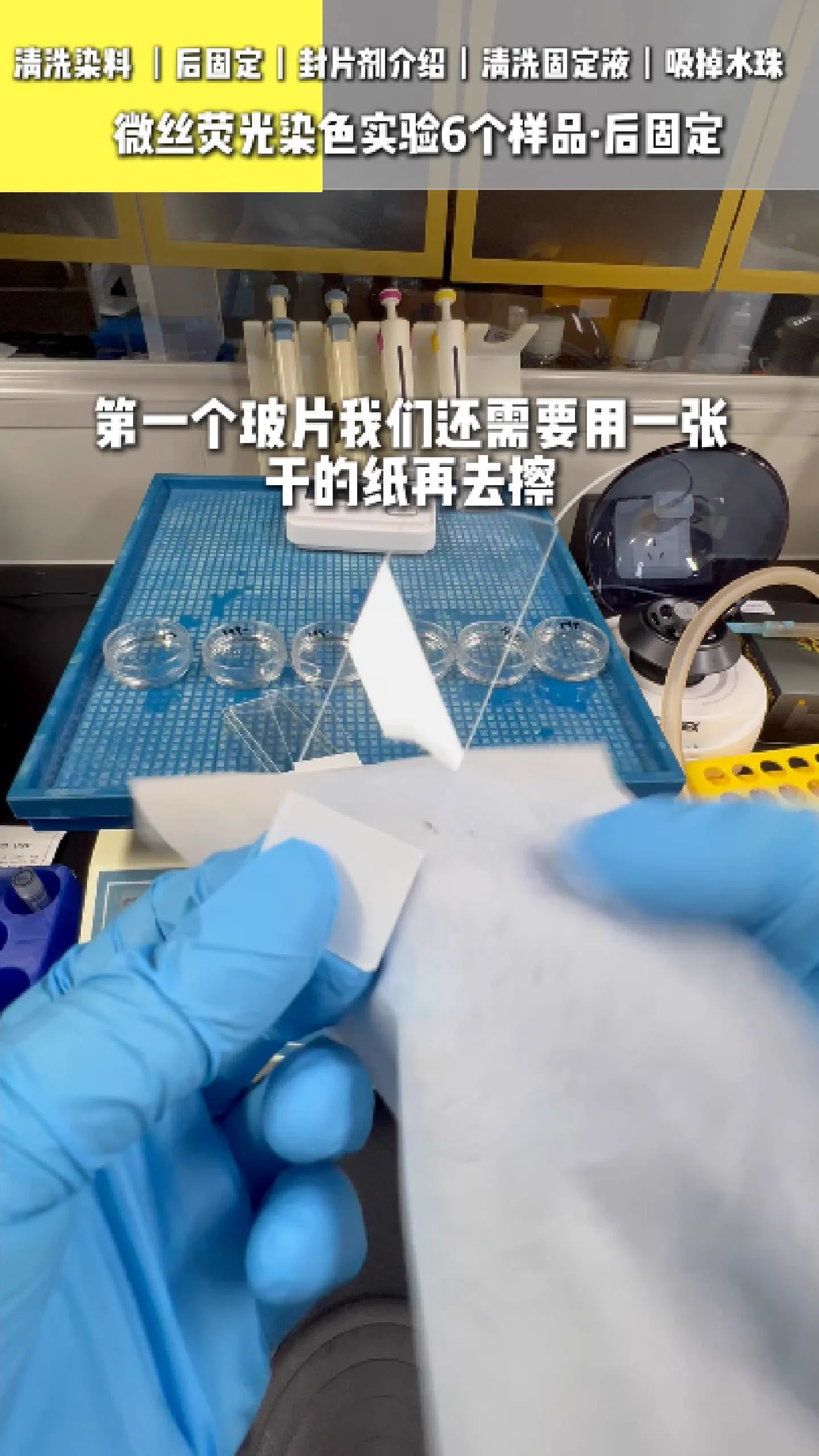 清洁玻片 3