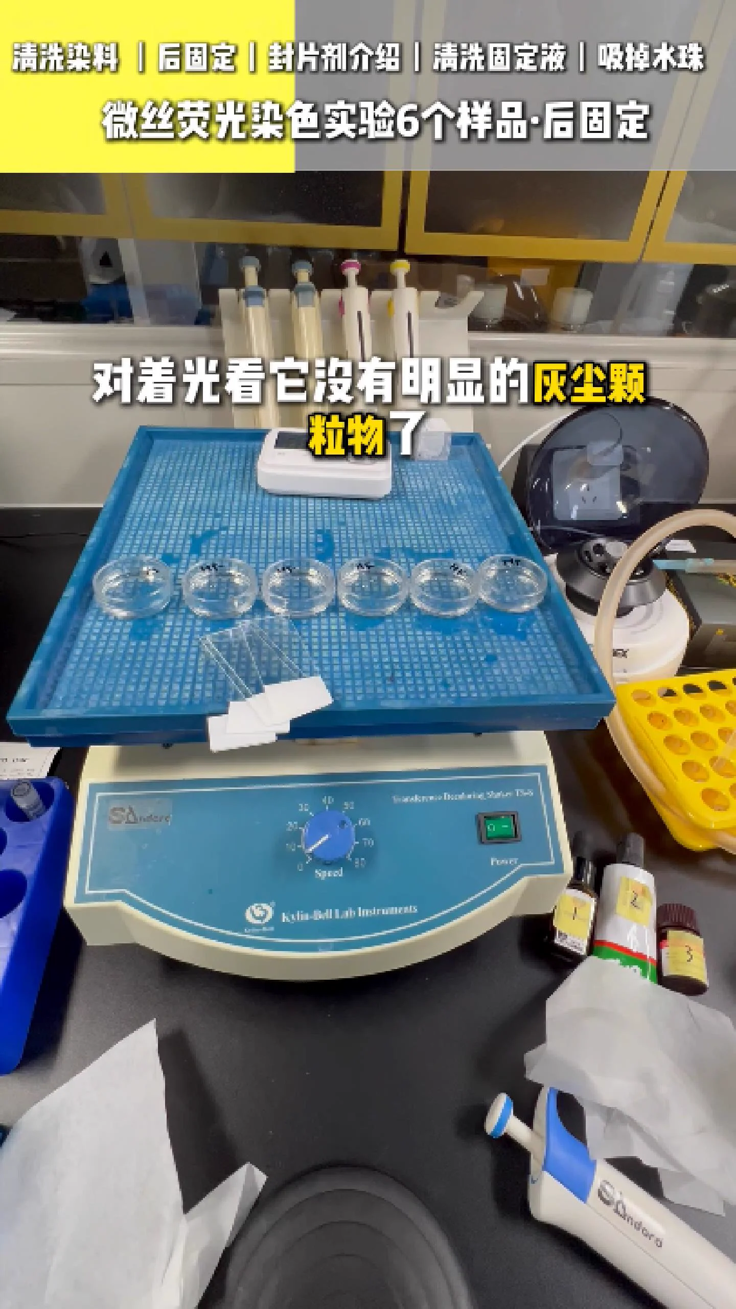 清洁玻片 8