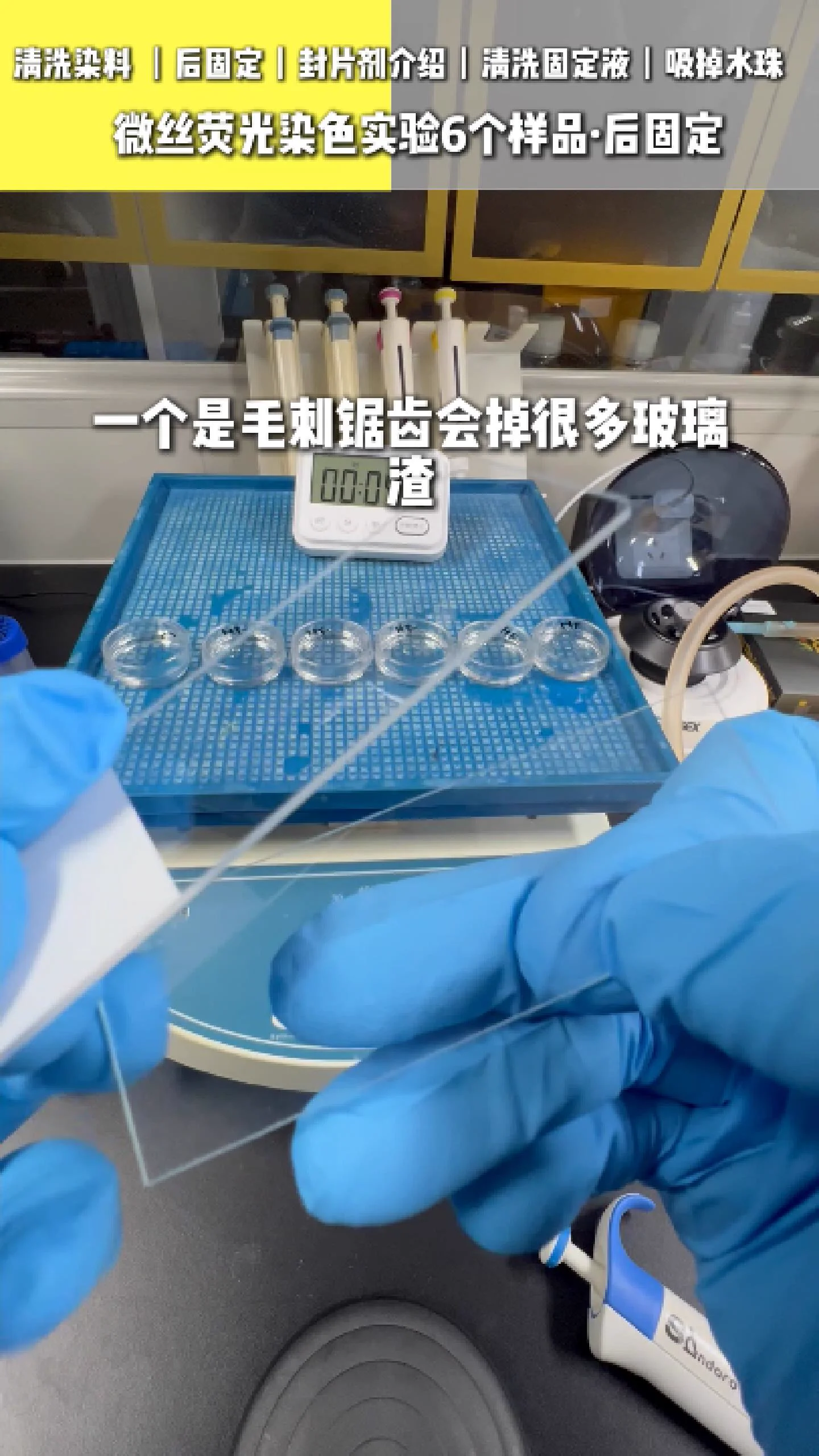 清洁玻片 4