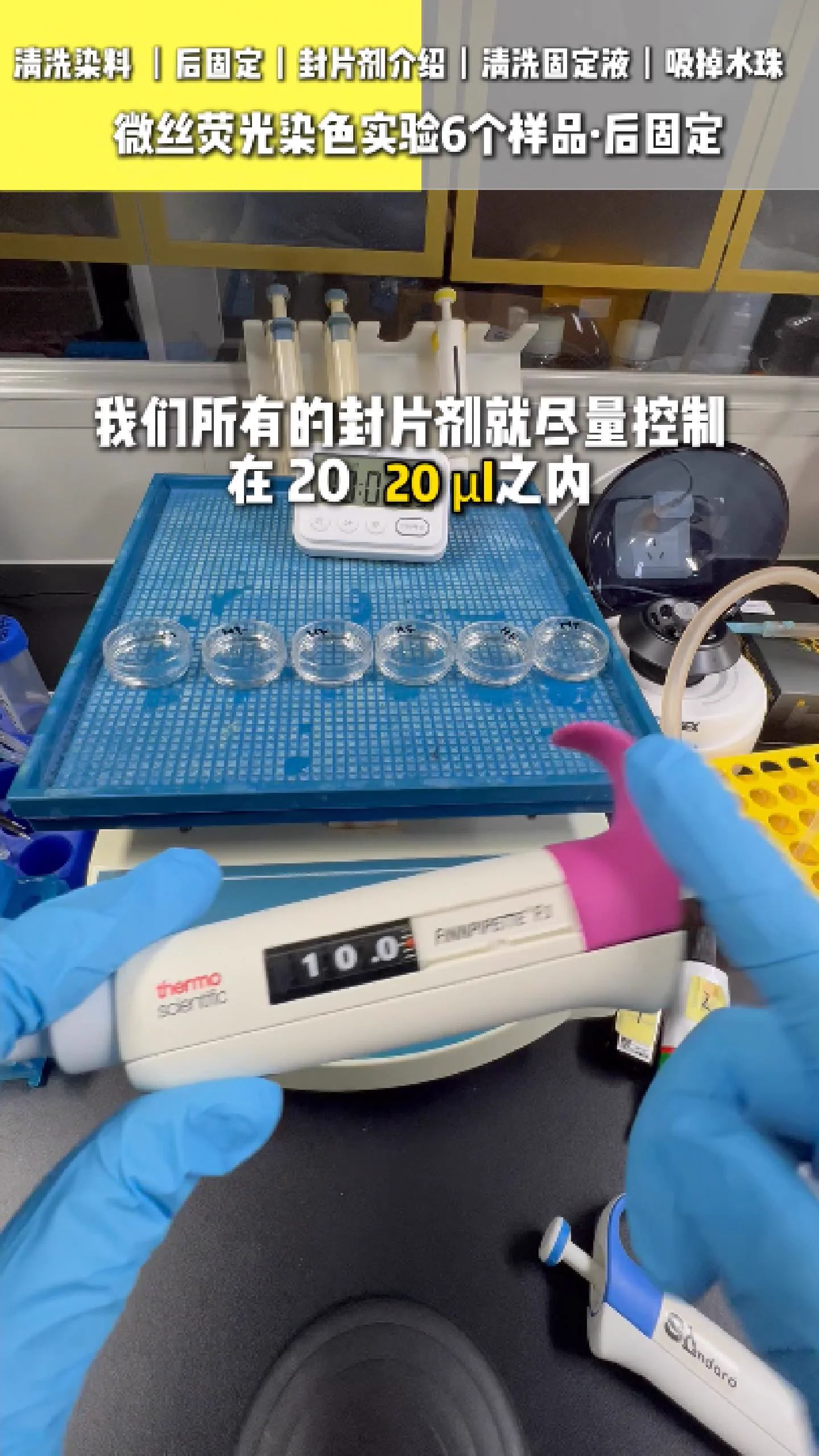 清洁玻片 9