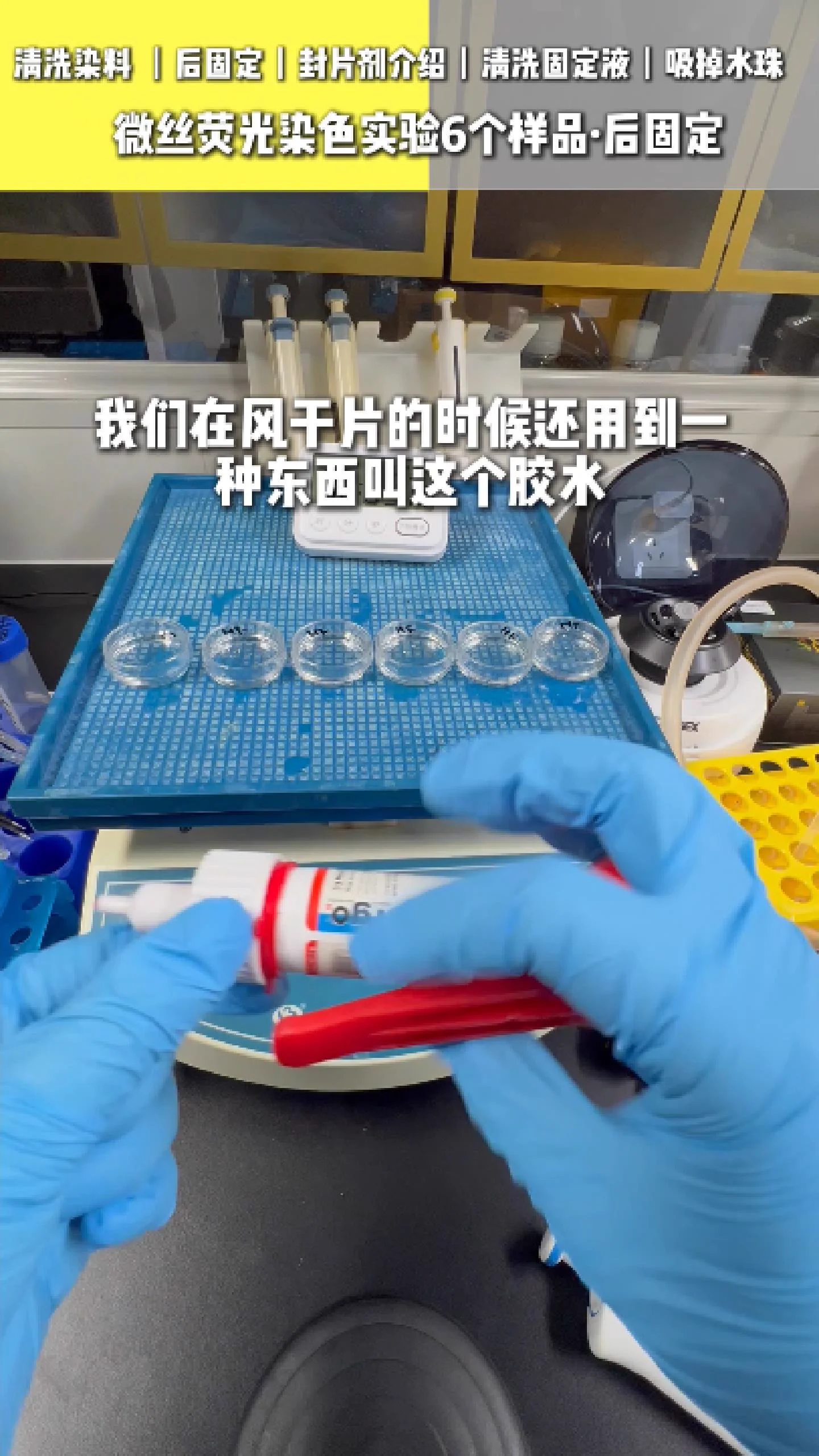 清洁玻片 5