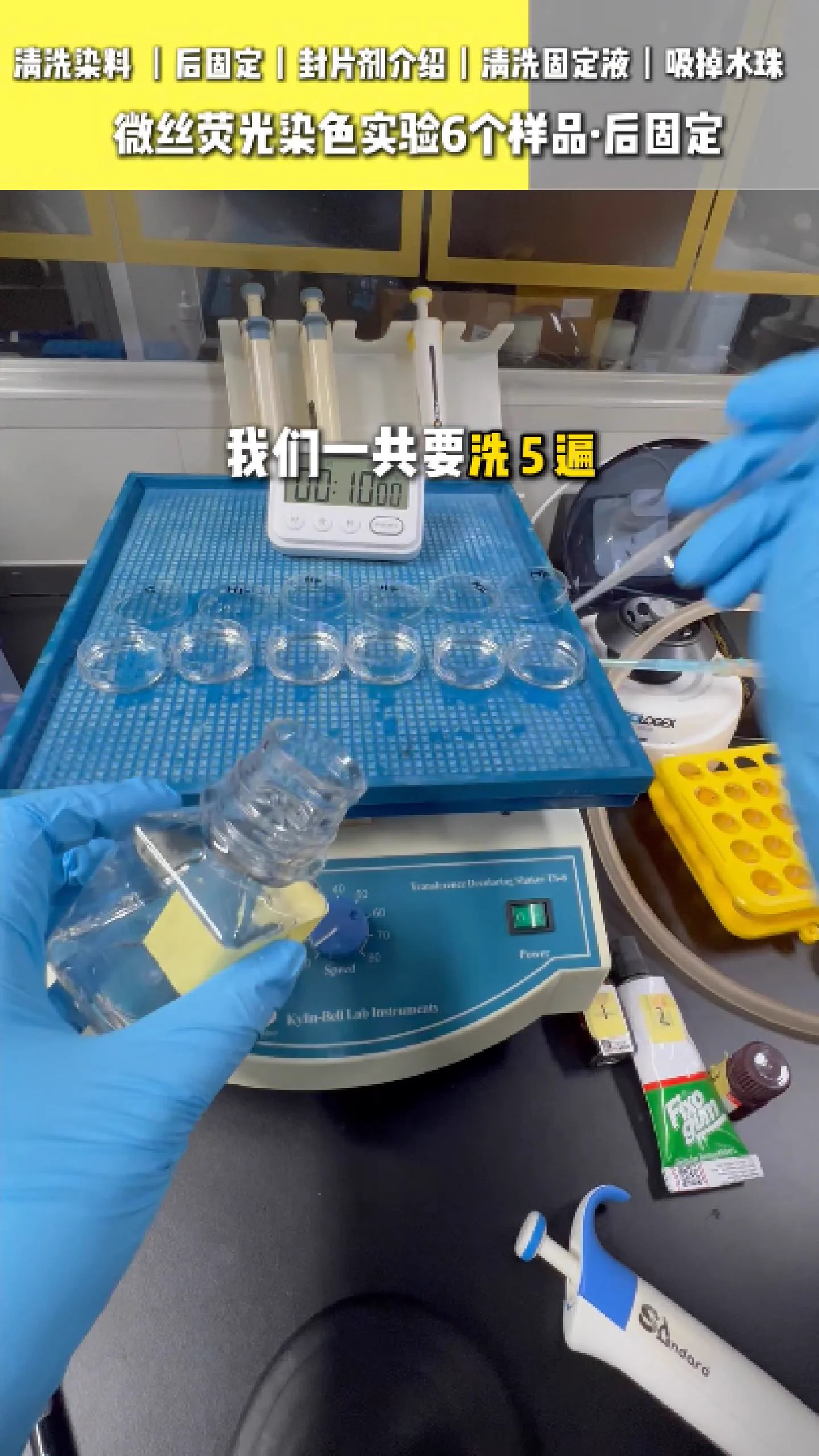 清洗固定液
