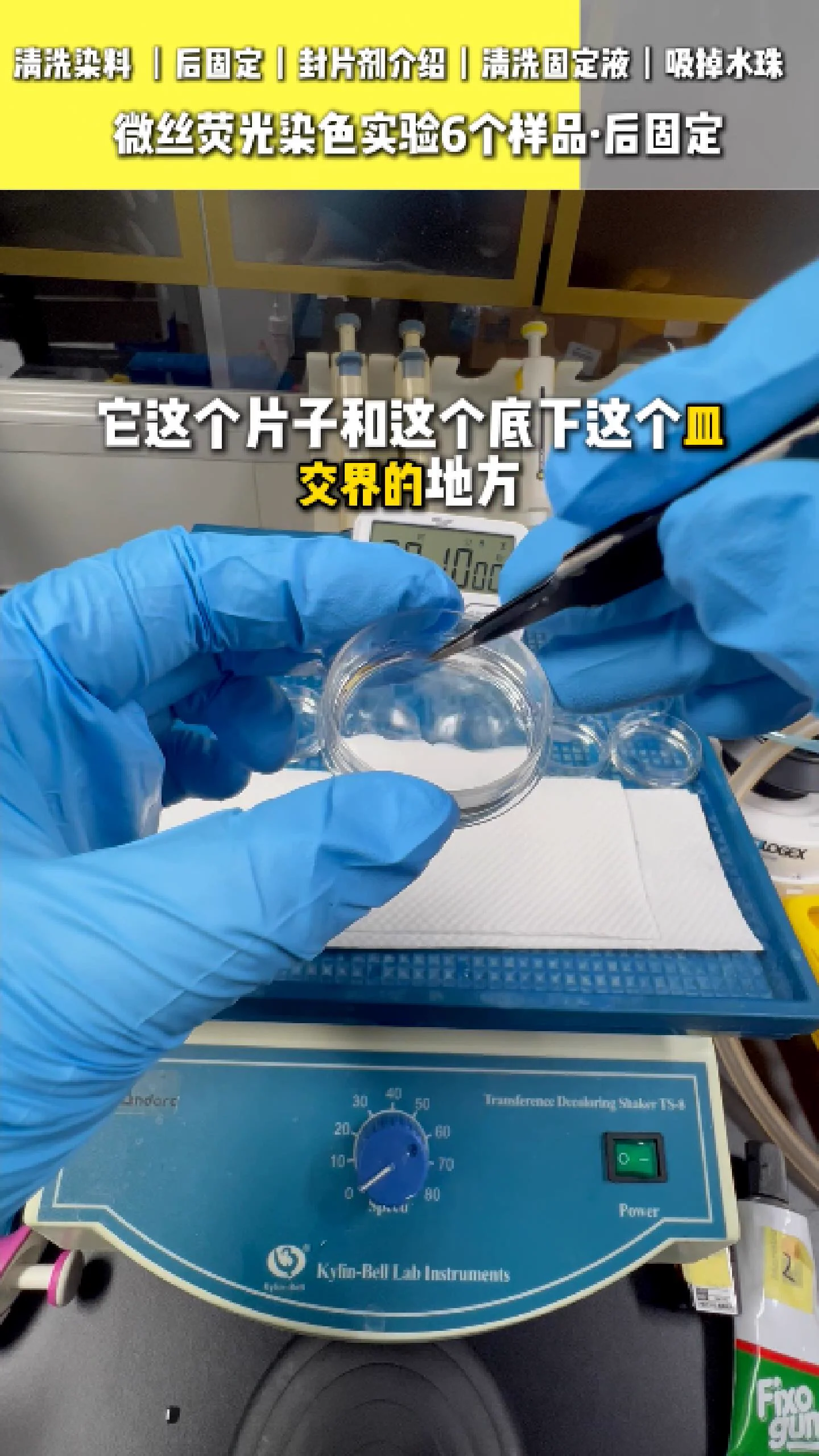 吸掉样本上的水分 1