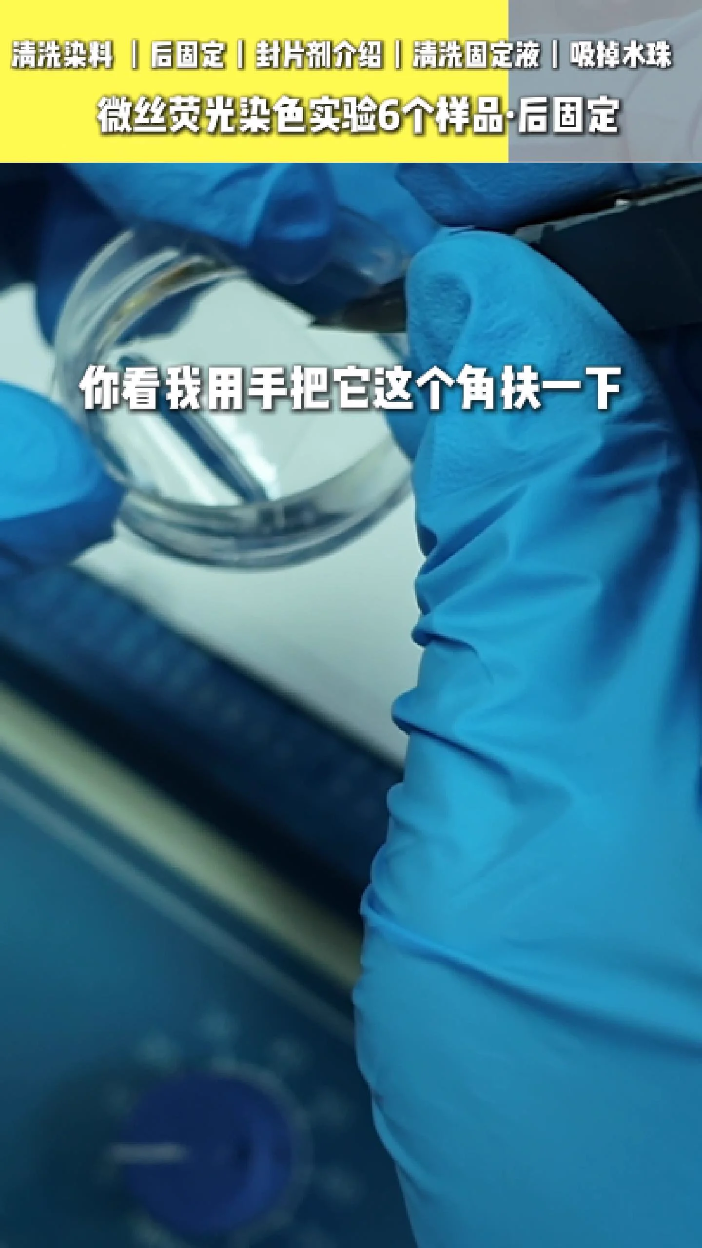 吸掉样本上的水分 6