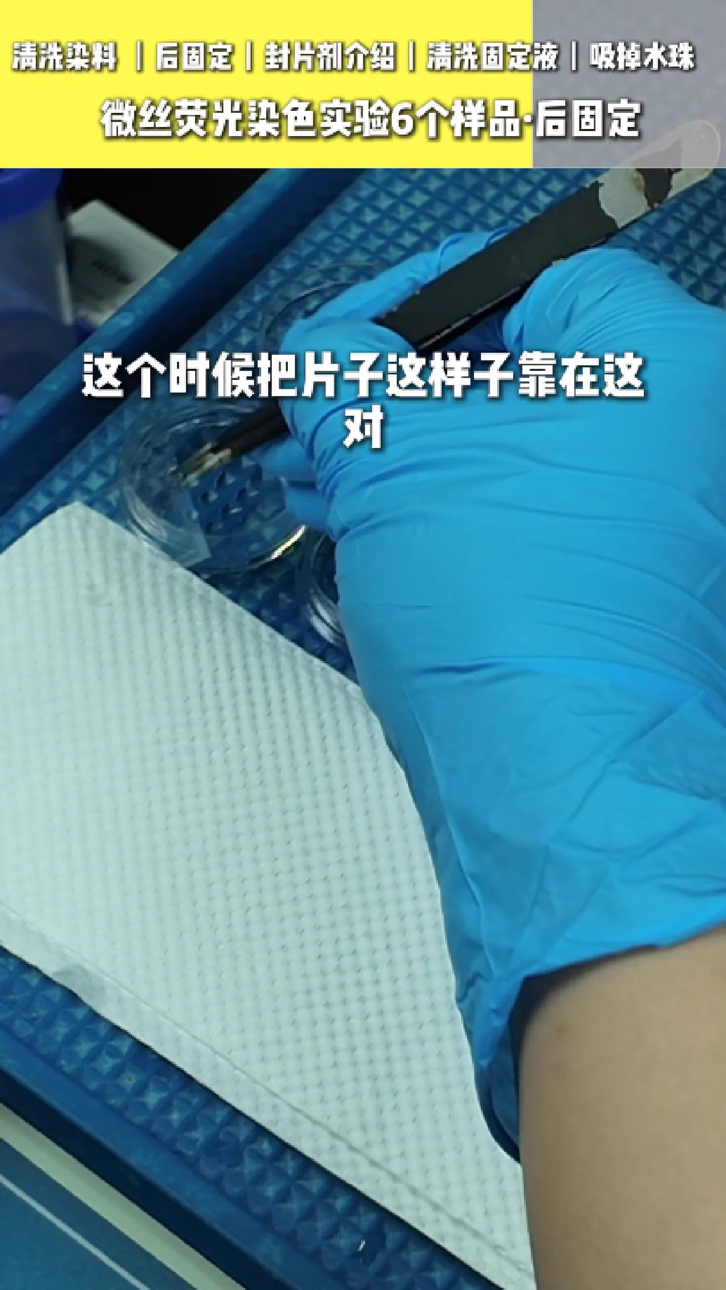 吸掉样本上的水分 2