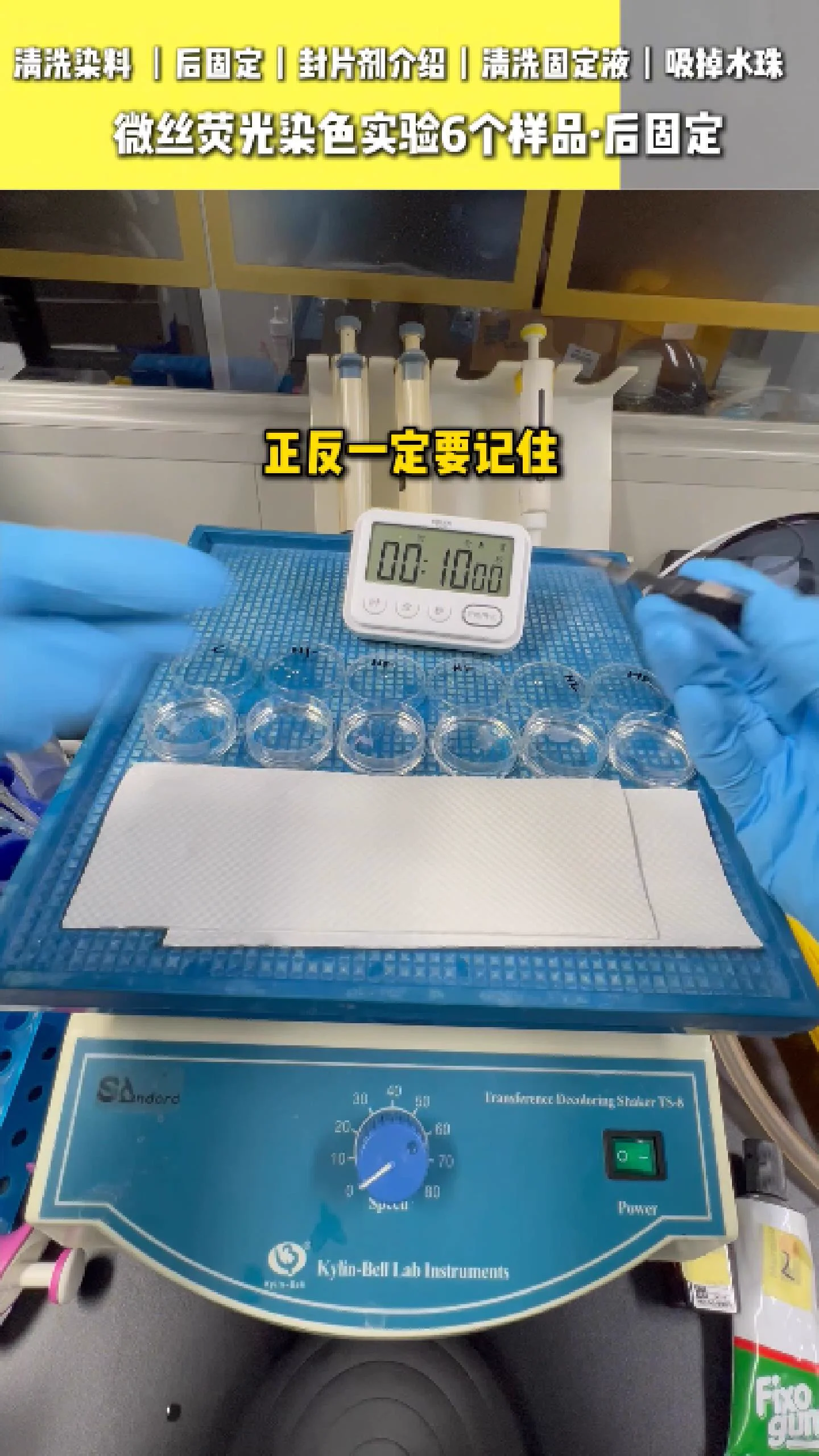 吸掉样本上的水分 7