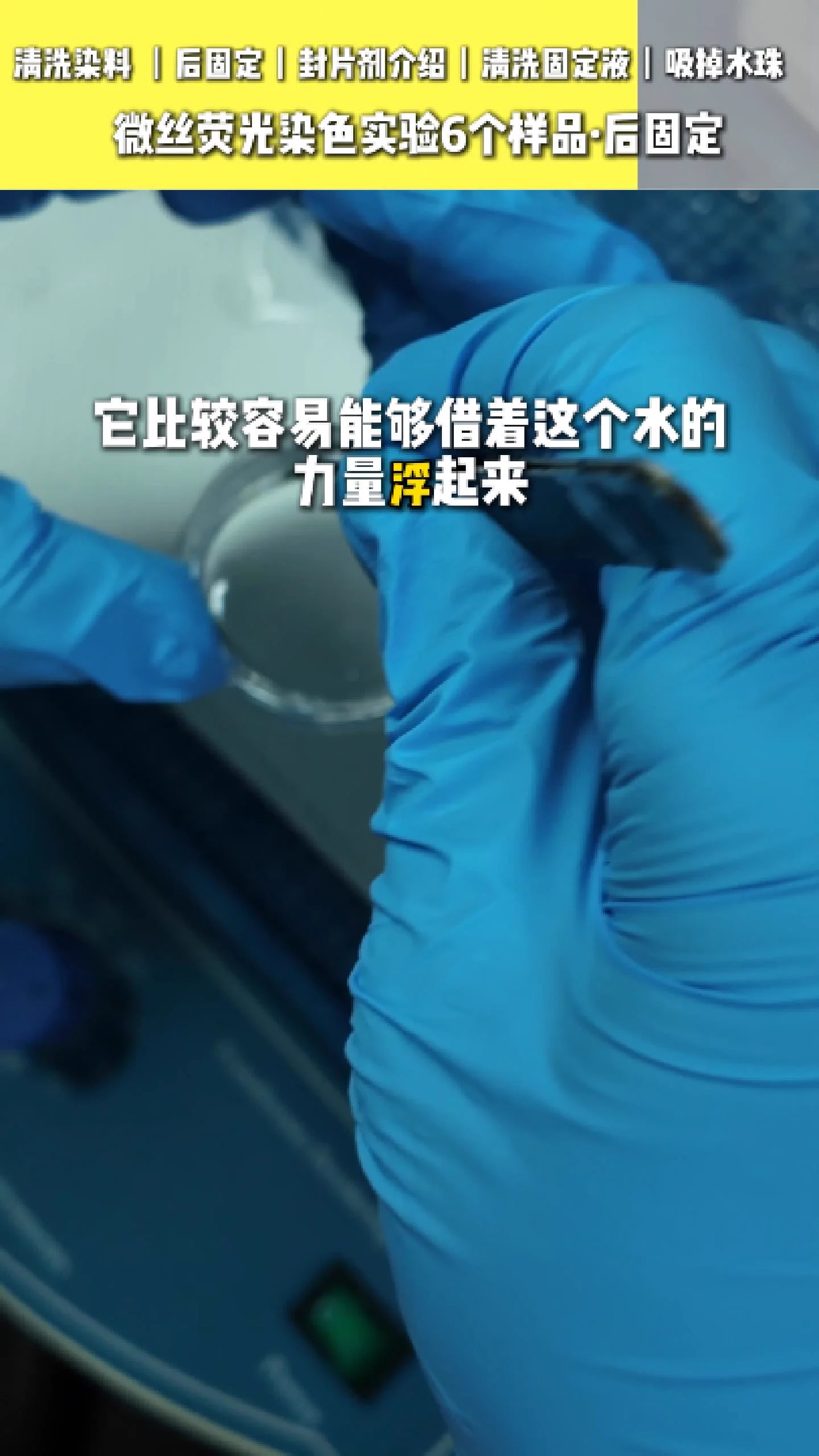 吸掉样本上的水分 3