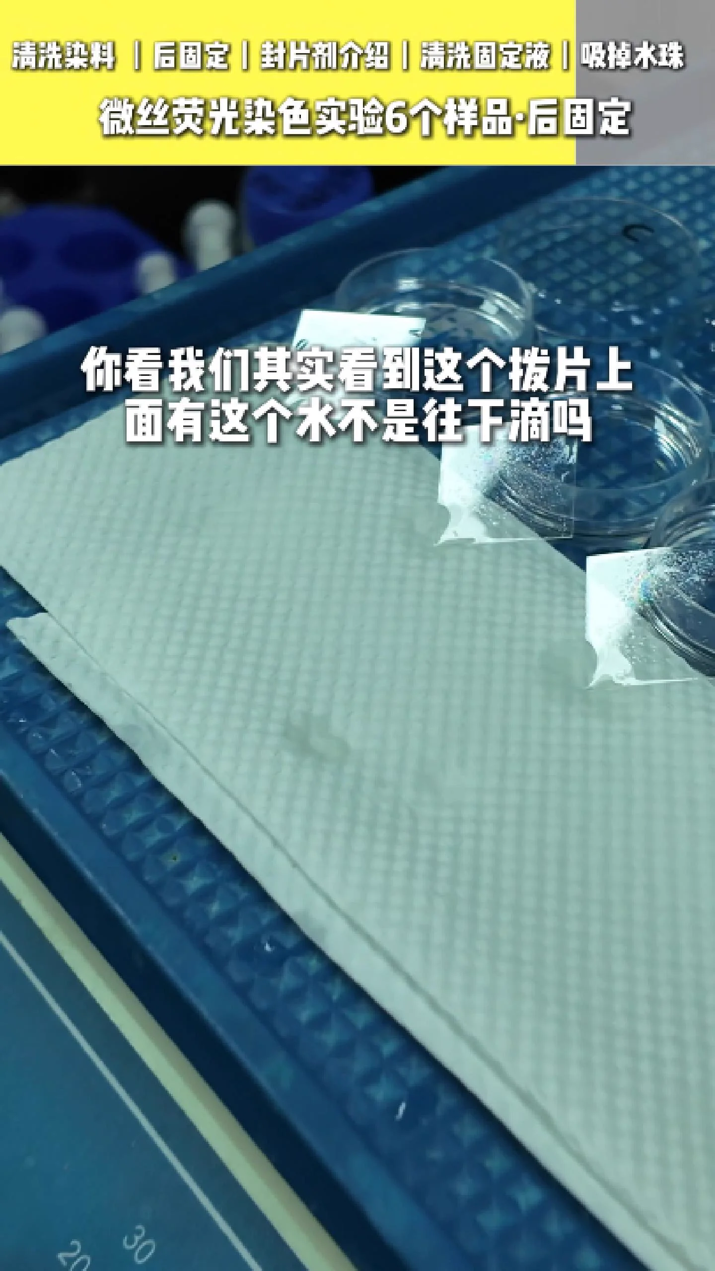 吸掉样本上的水分 8
