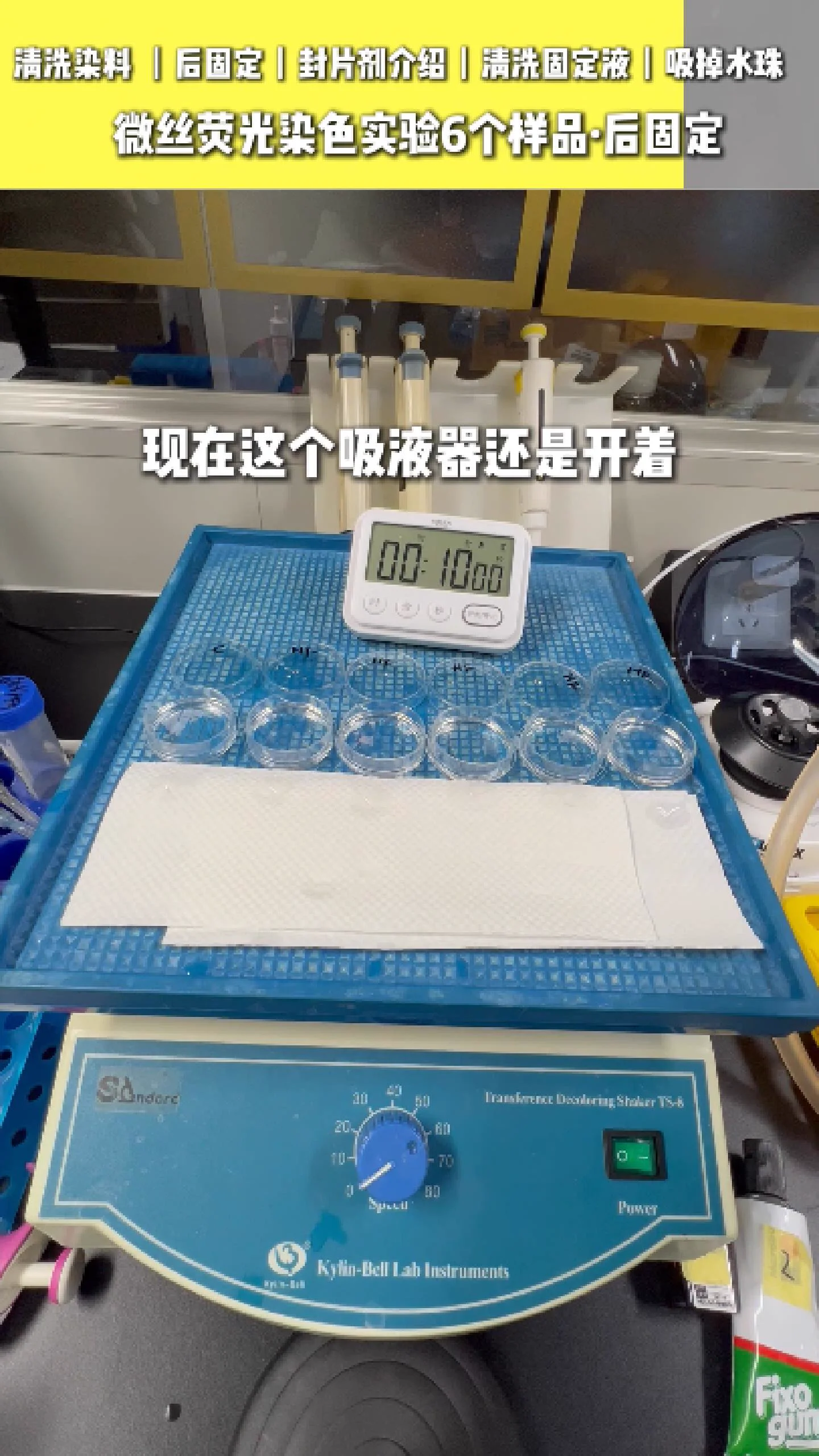 吸掉样本上的水分 4