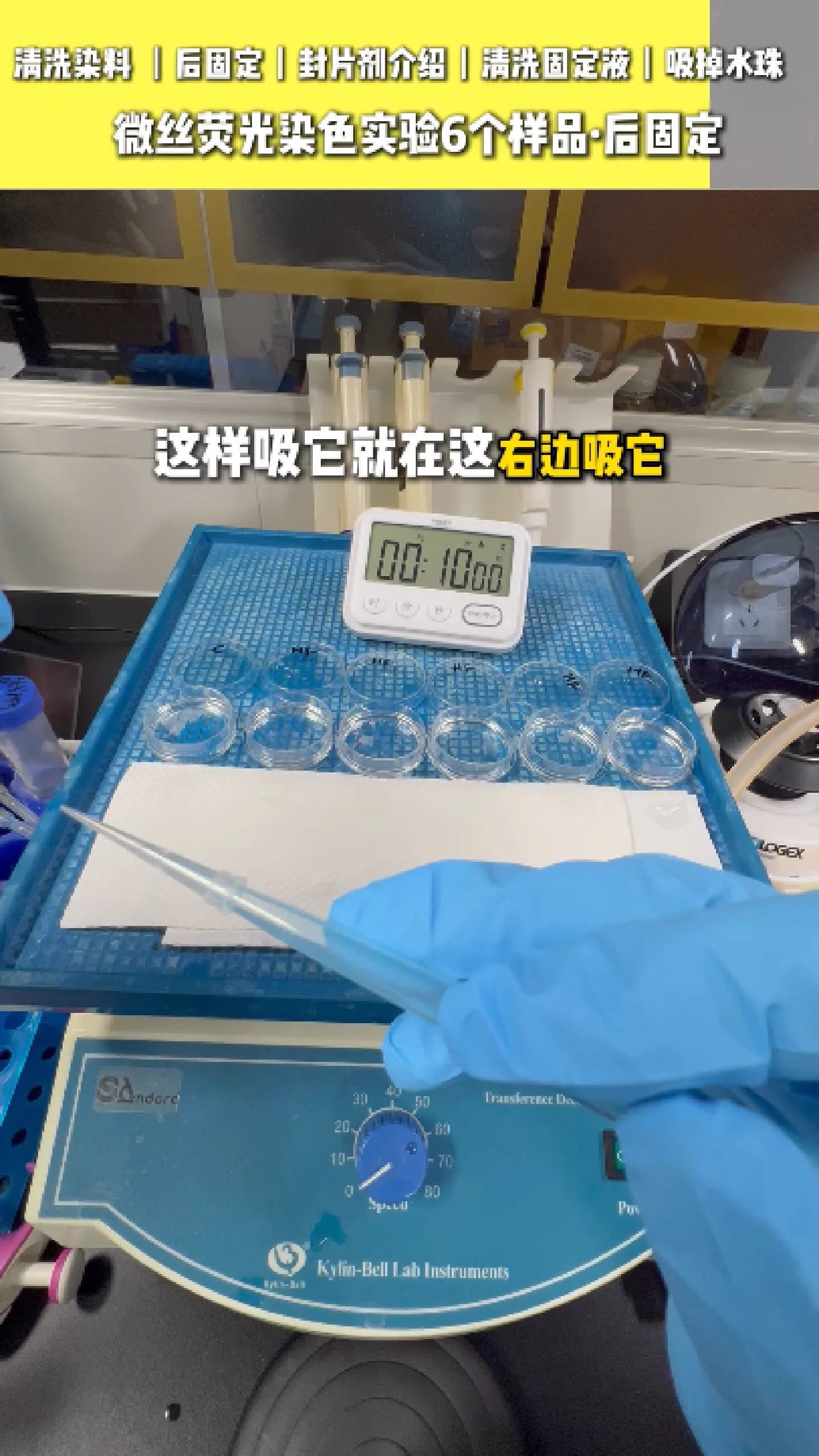 吸掉样本上的水分 9