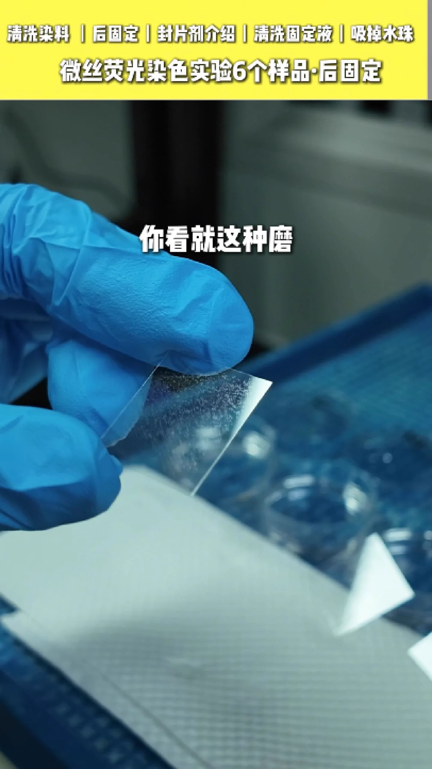 吸掉样本上的水分 5