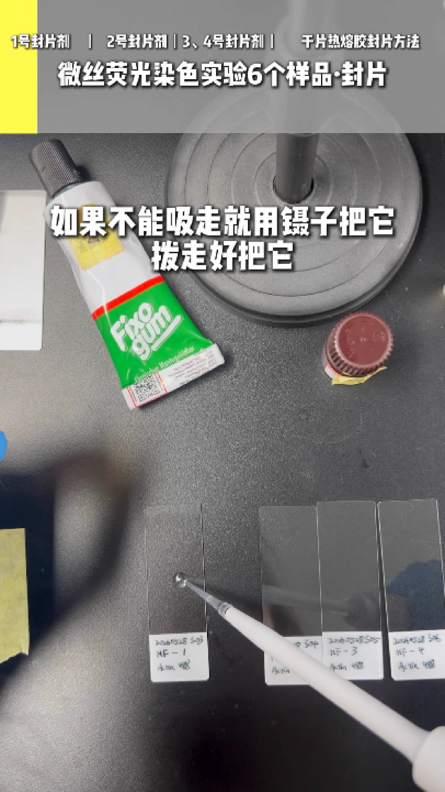 一号封片剂 3