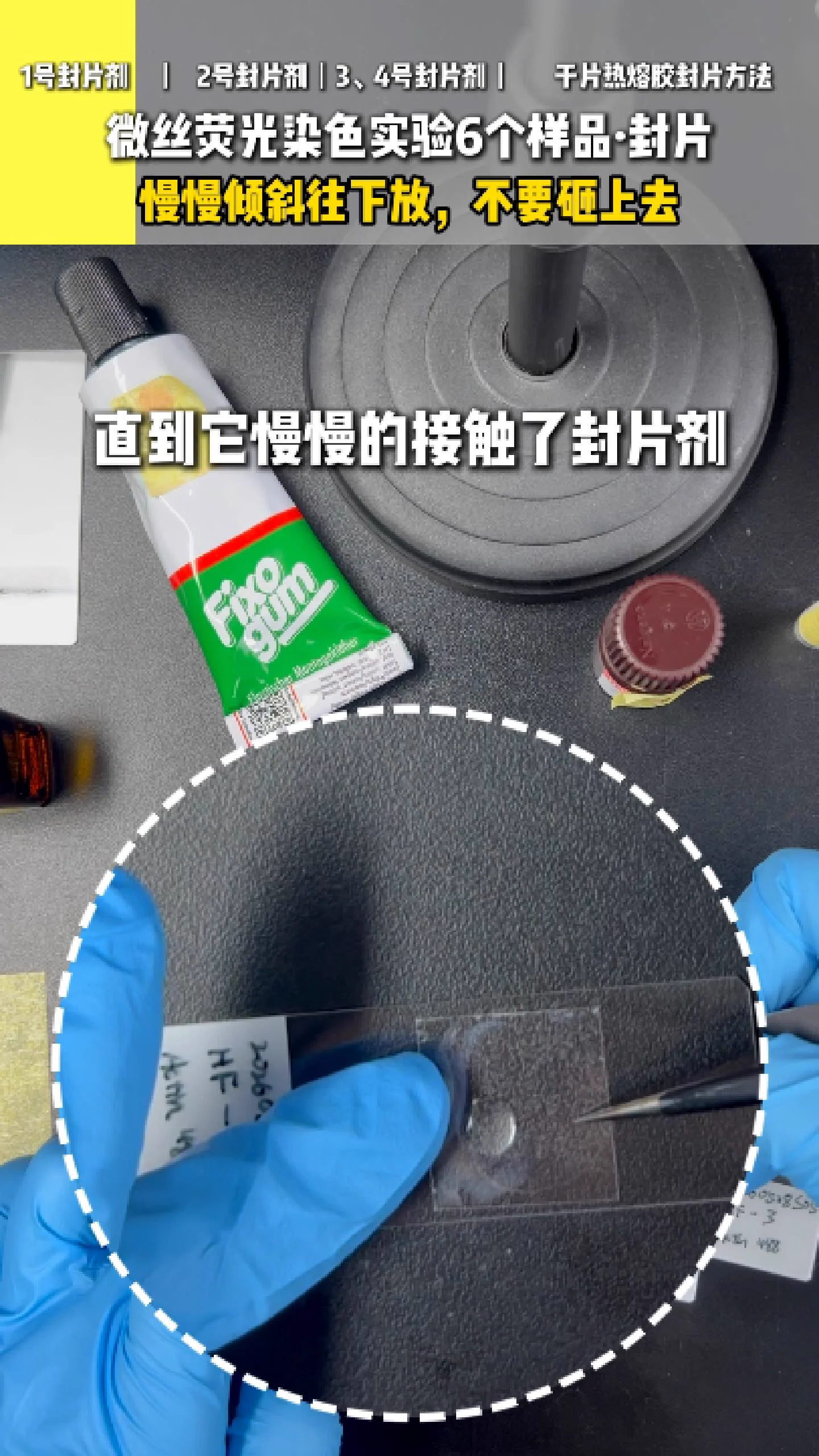一号封片剂 4