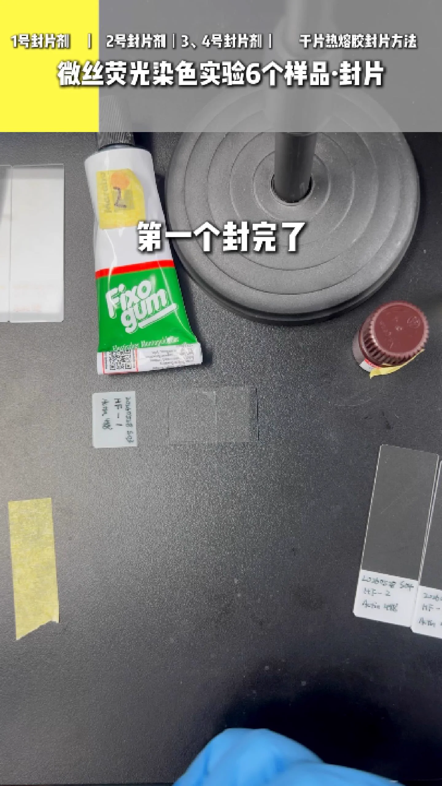 一号封片剂 5