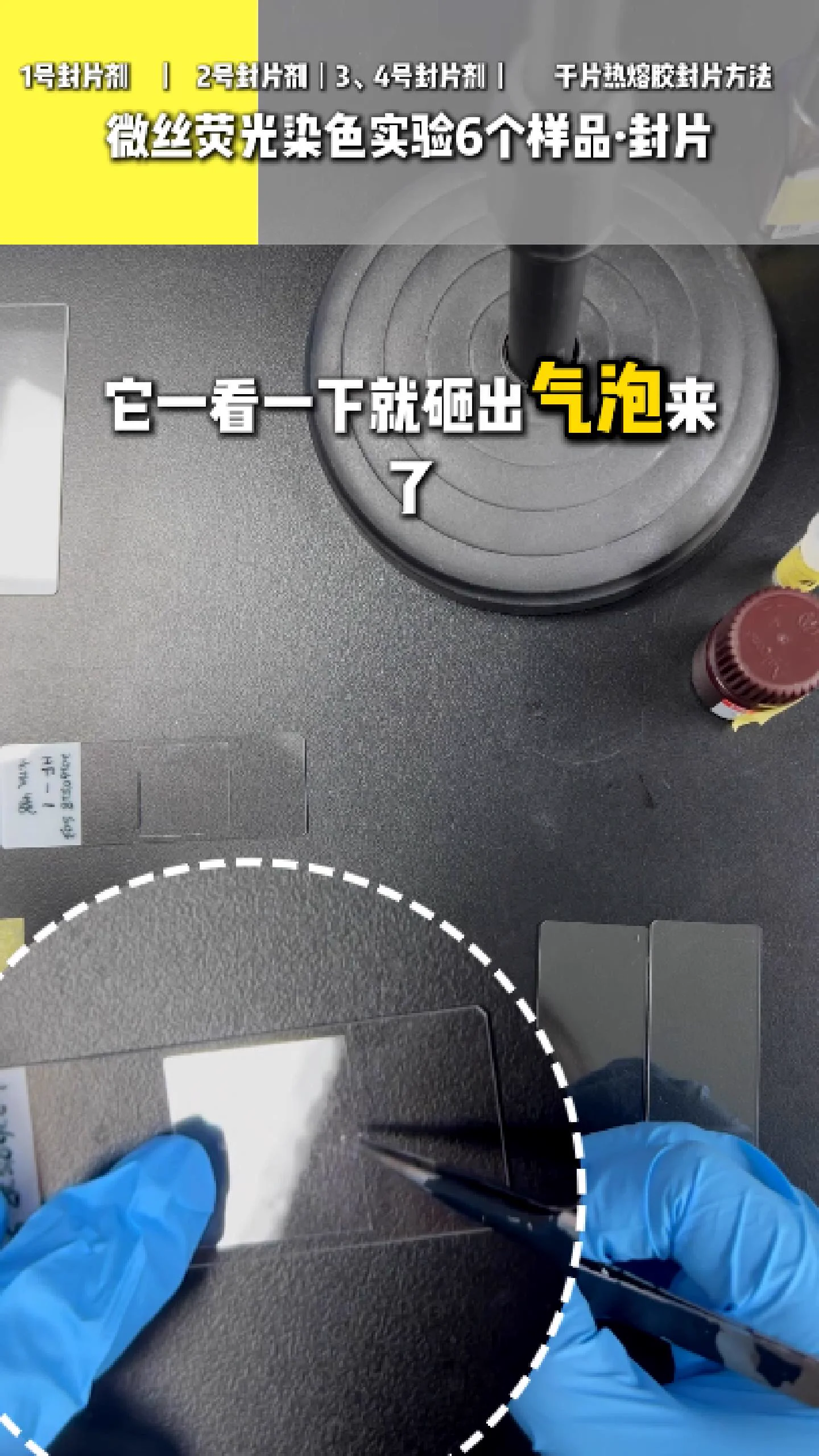 二号封片剂 3