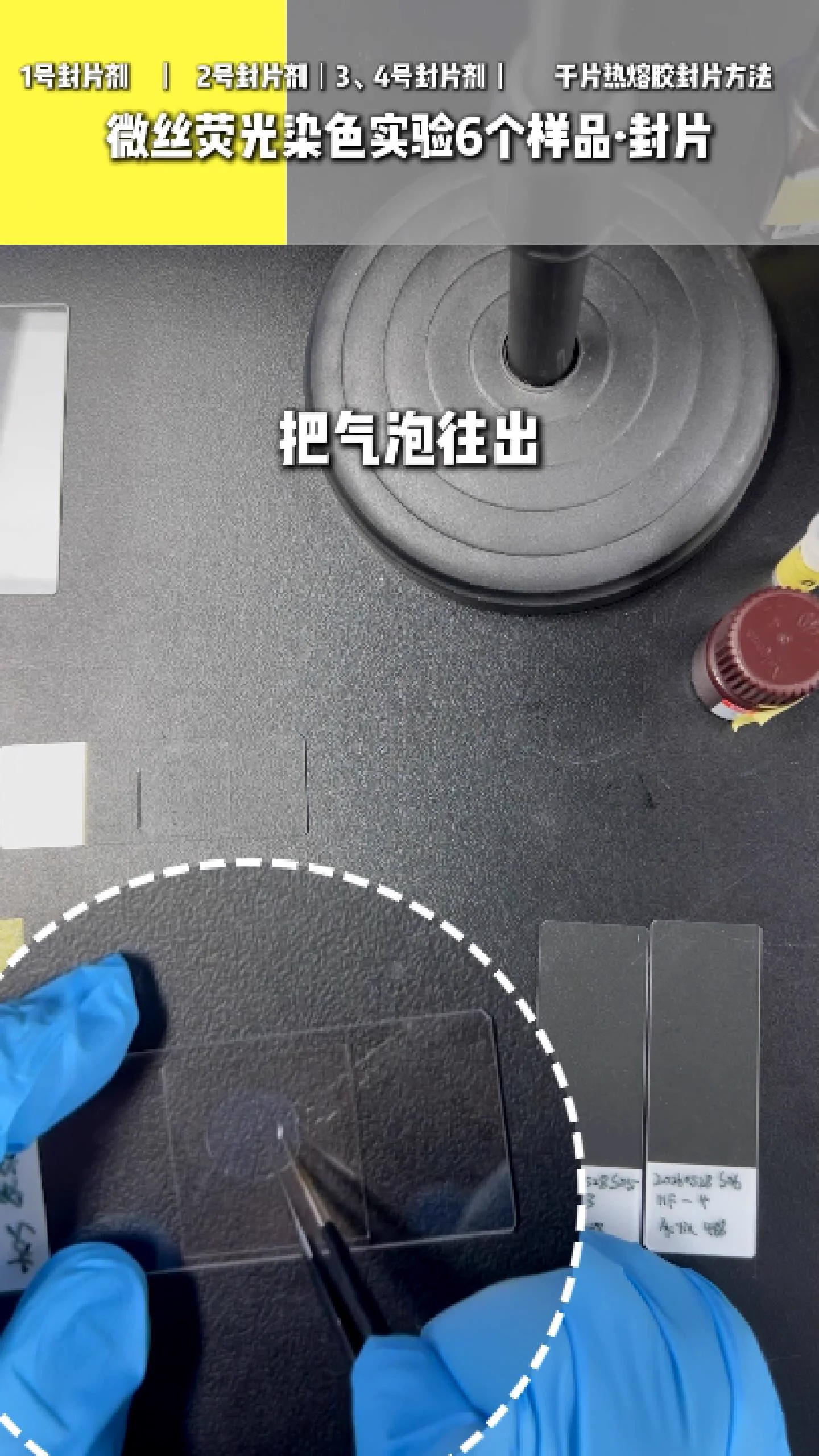 二号封片剂 2