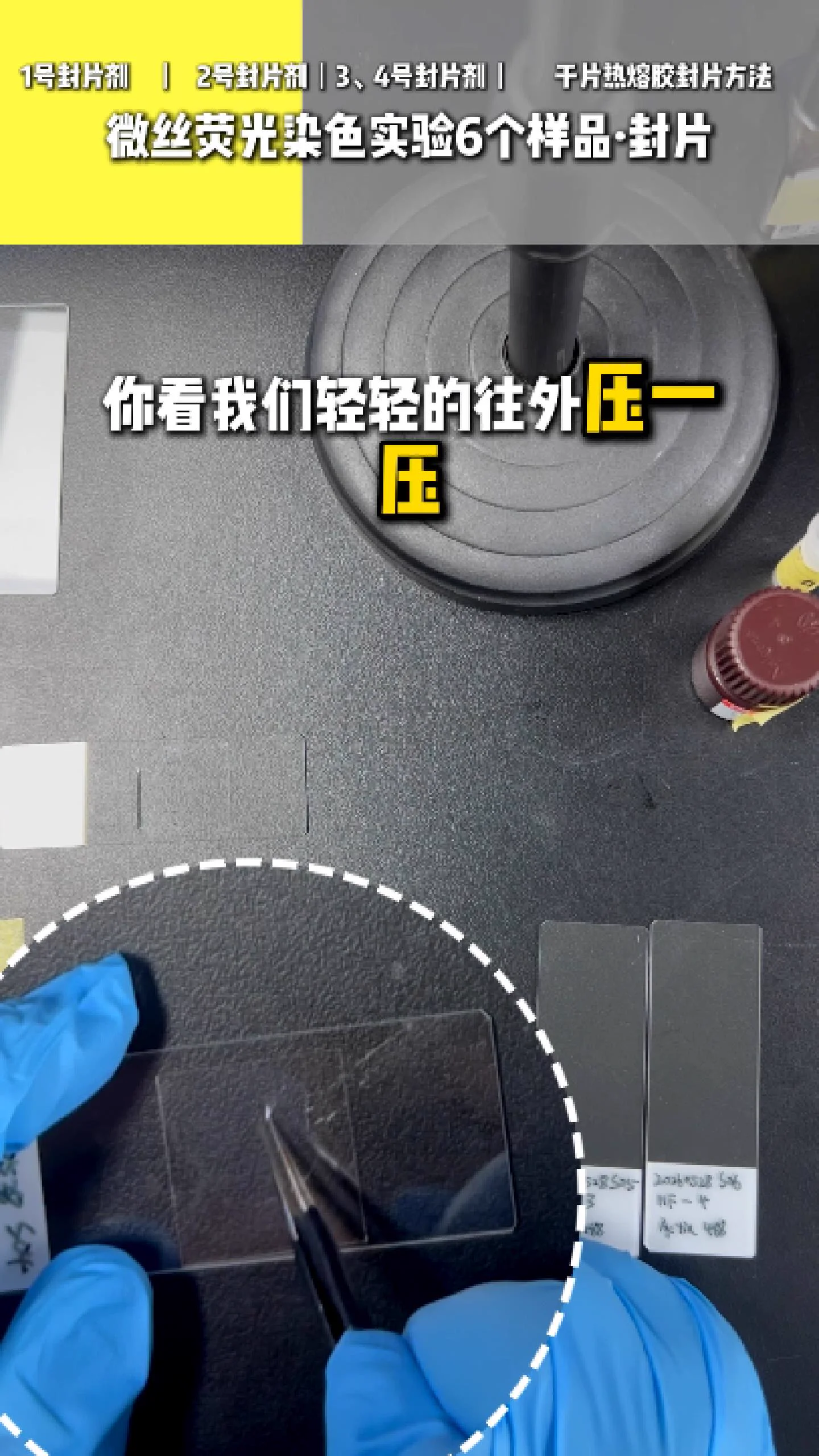 二号封片剂 4