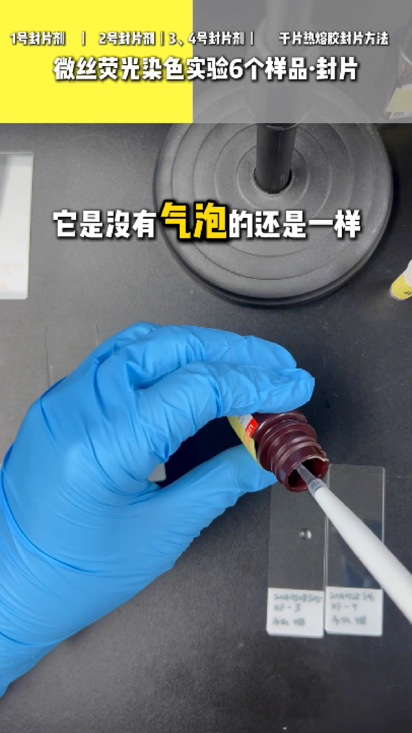 三号四号封片剂 1