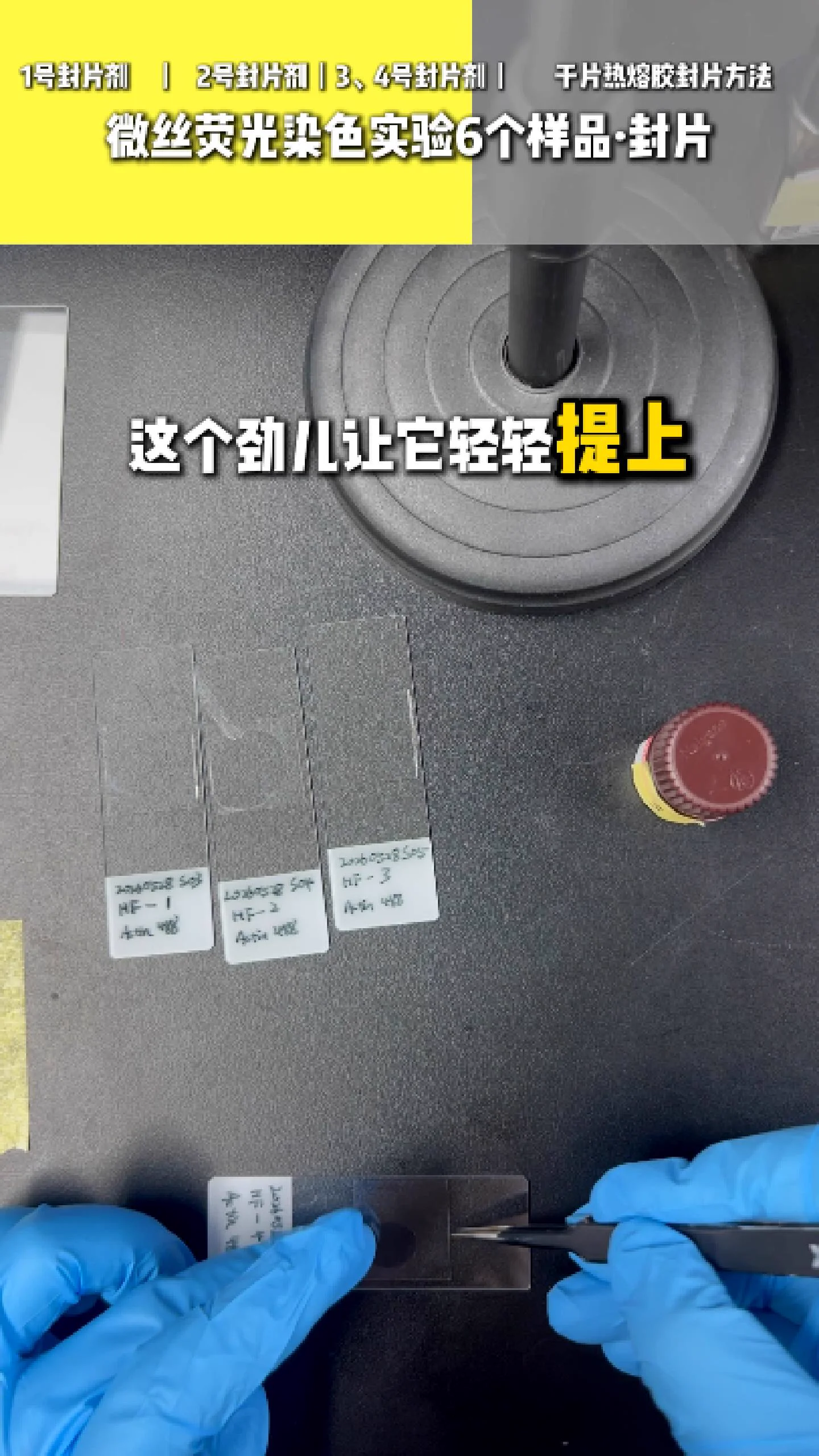 三号四号封片剂 2