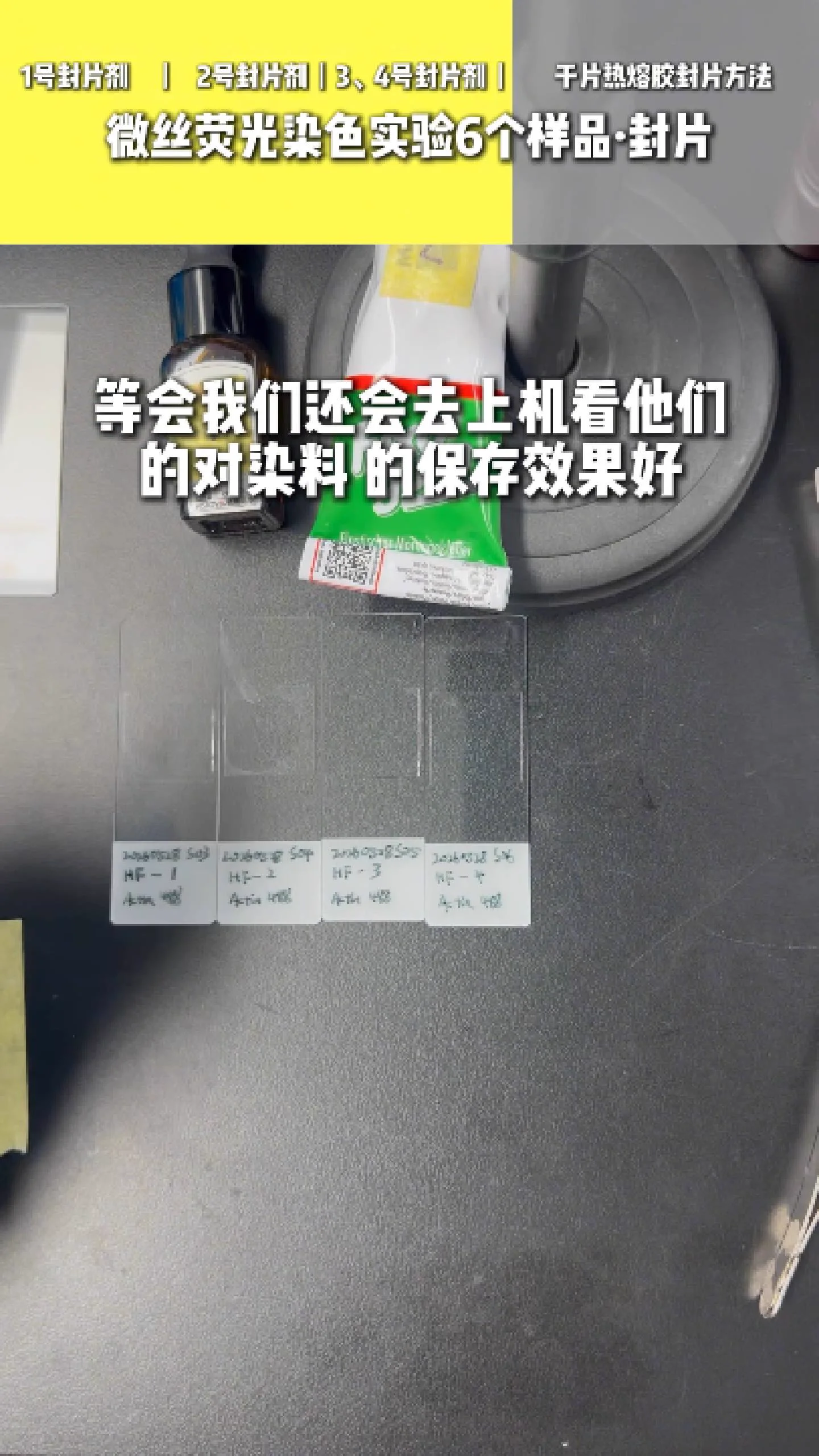 三号四号封片剂 4