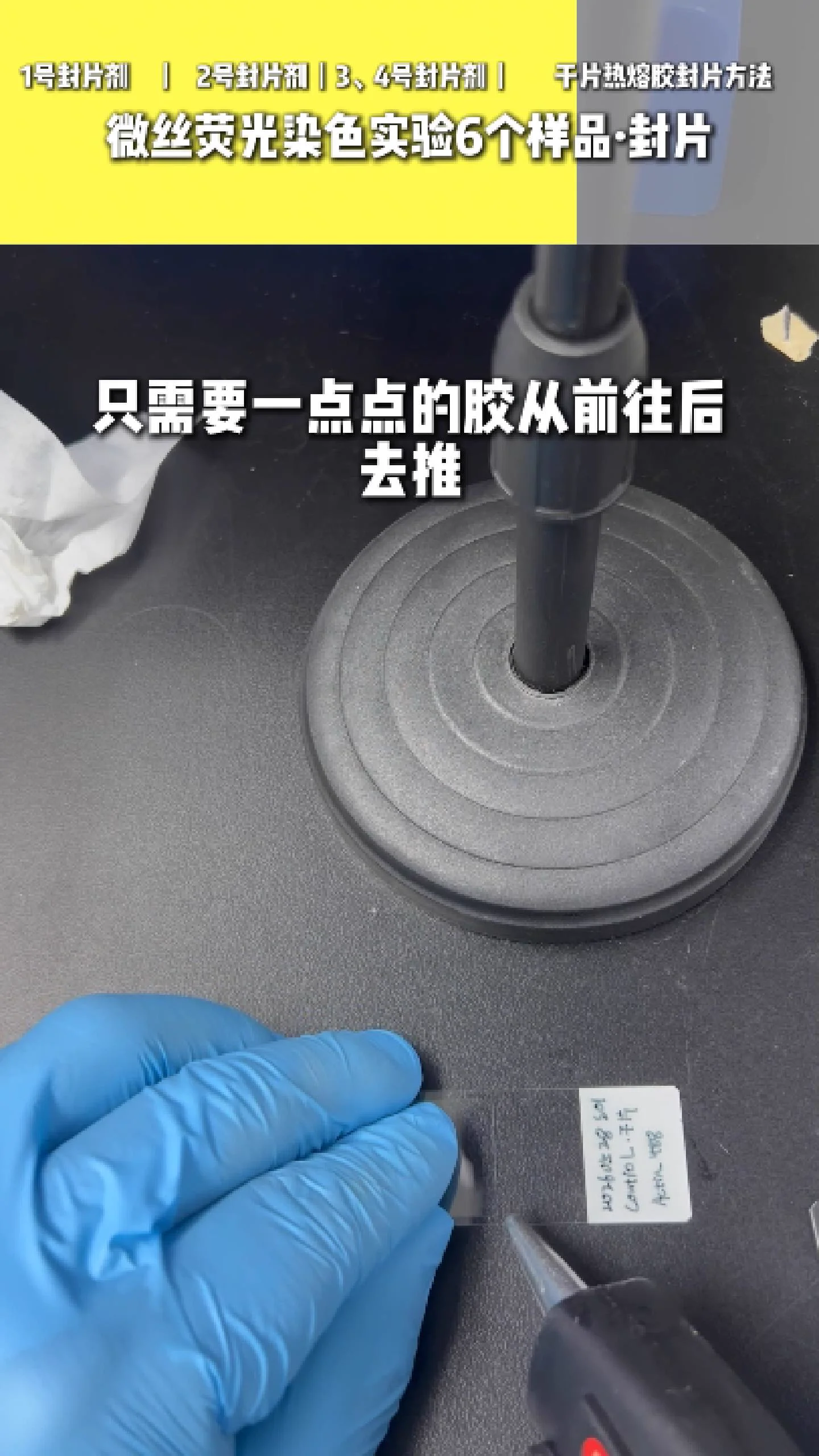 热熔胶封片 1