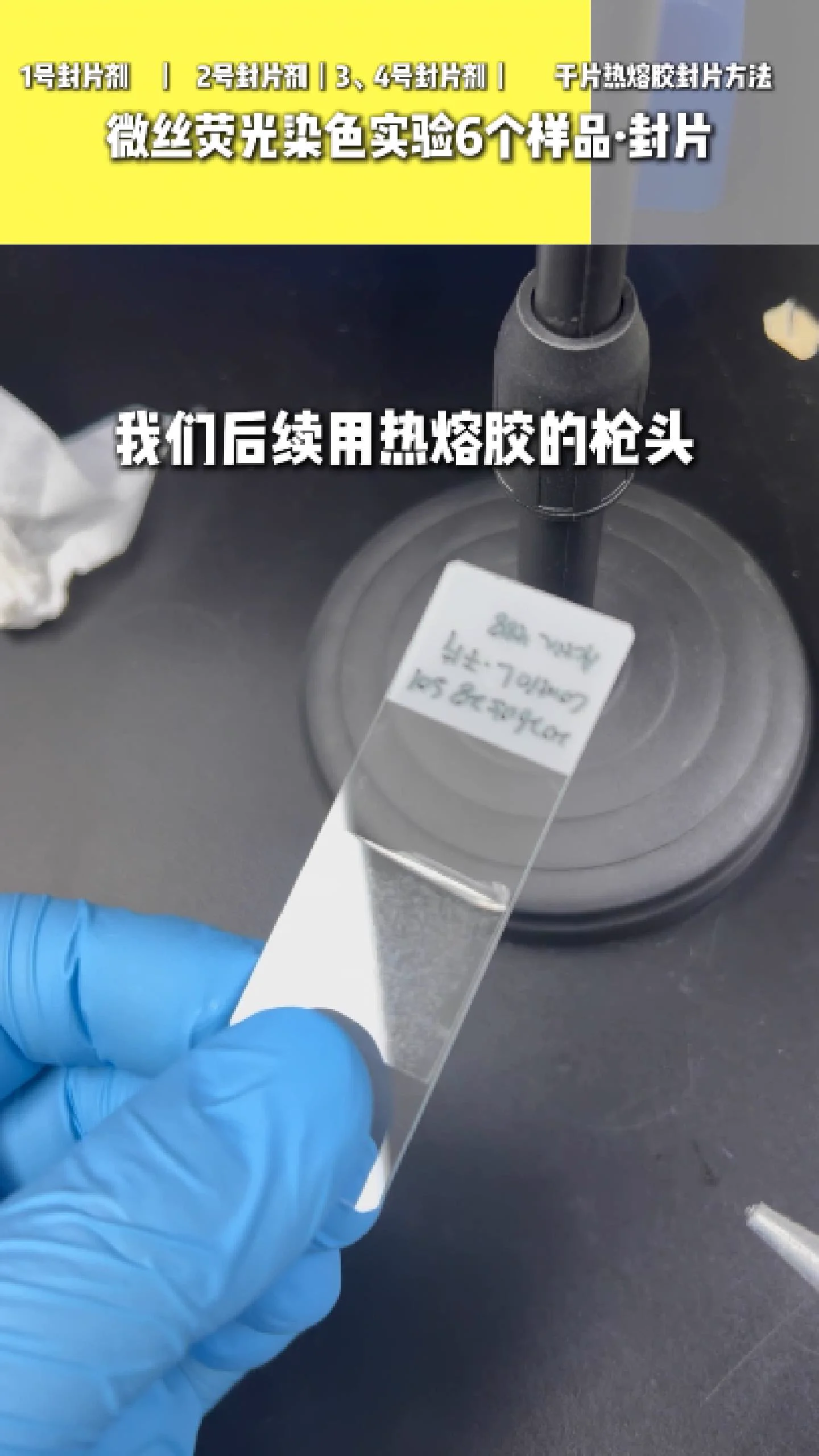 热熔胶封片 4
