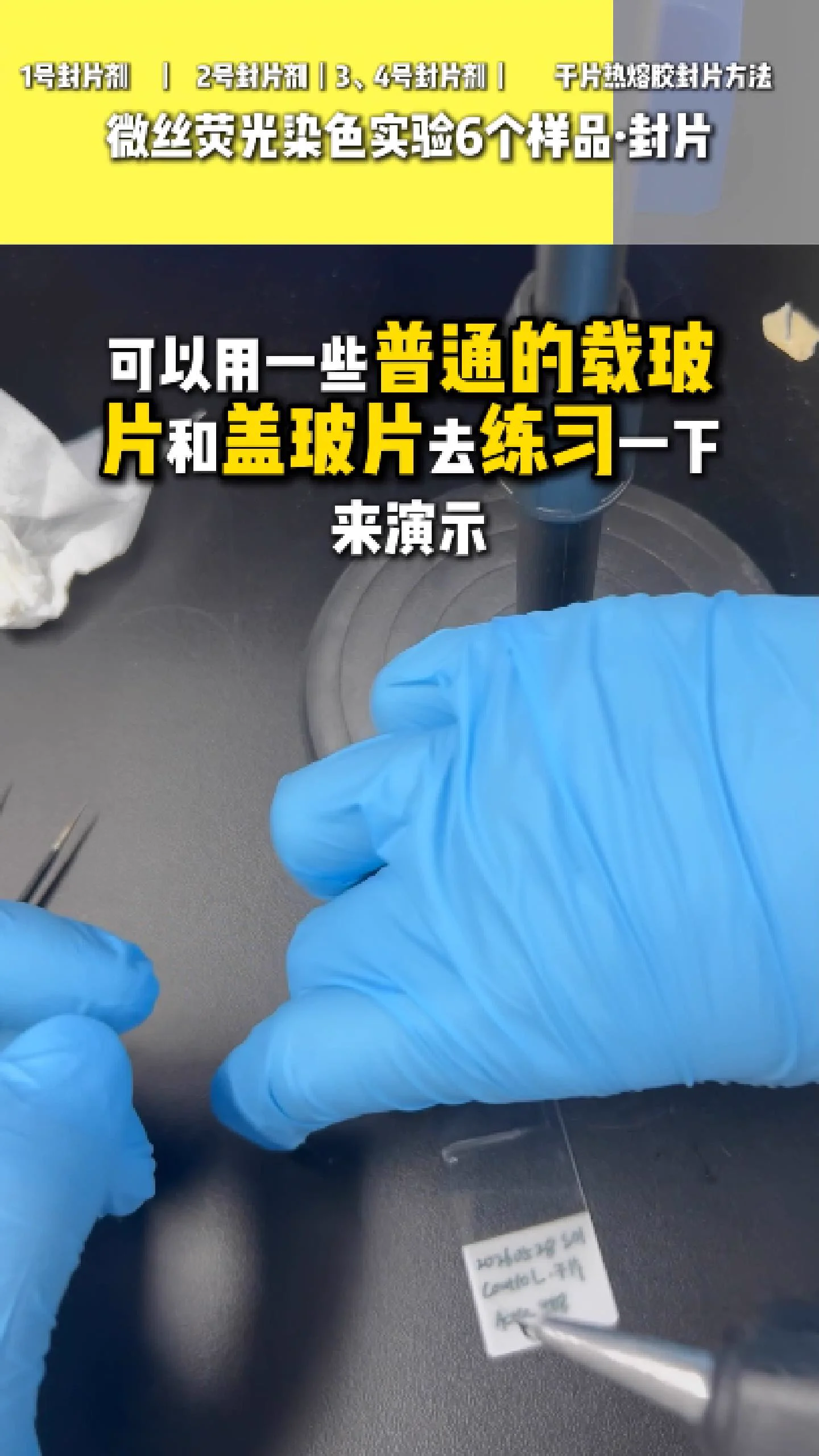 热熔胶封片 5