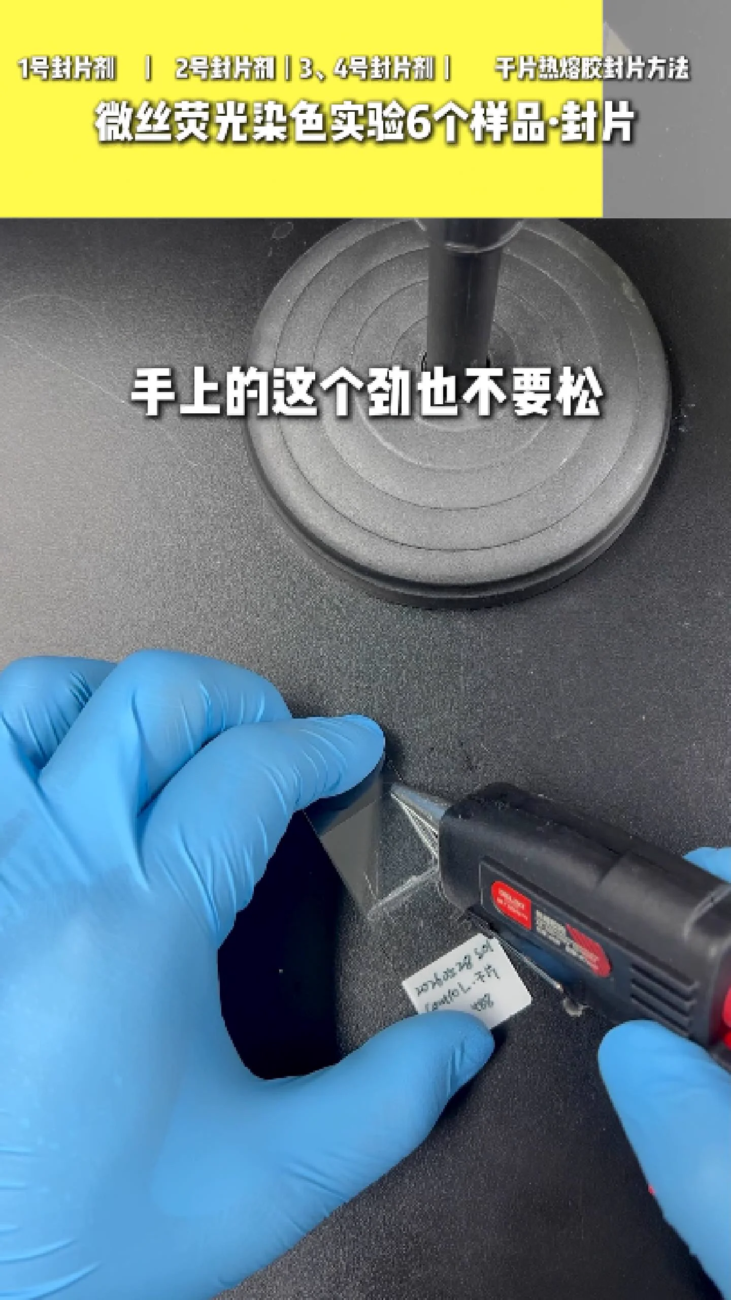 热熔胶封片 2