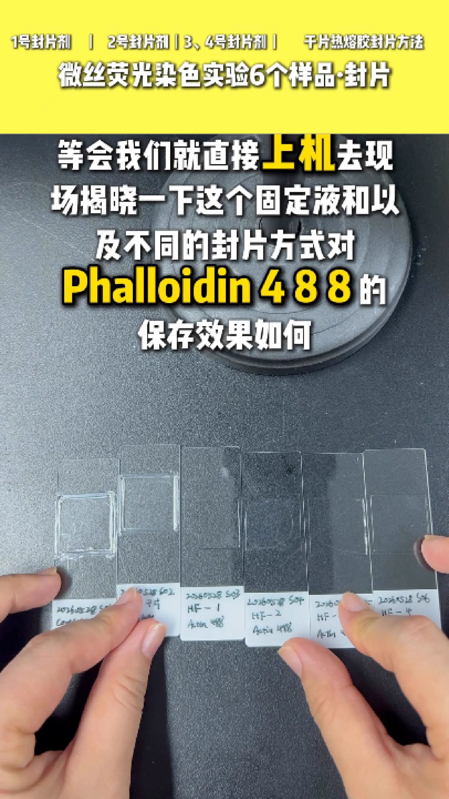 热熔胶封片 3