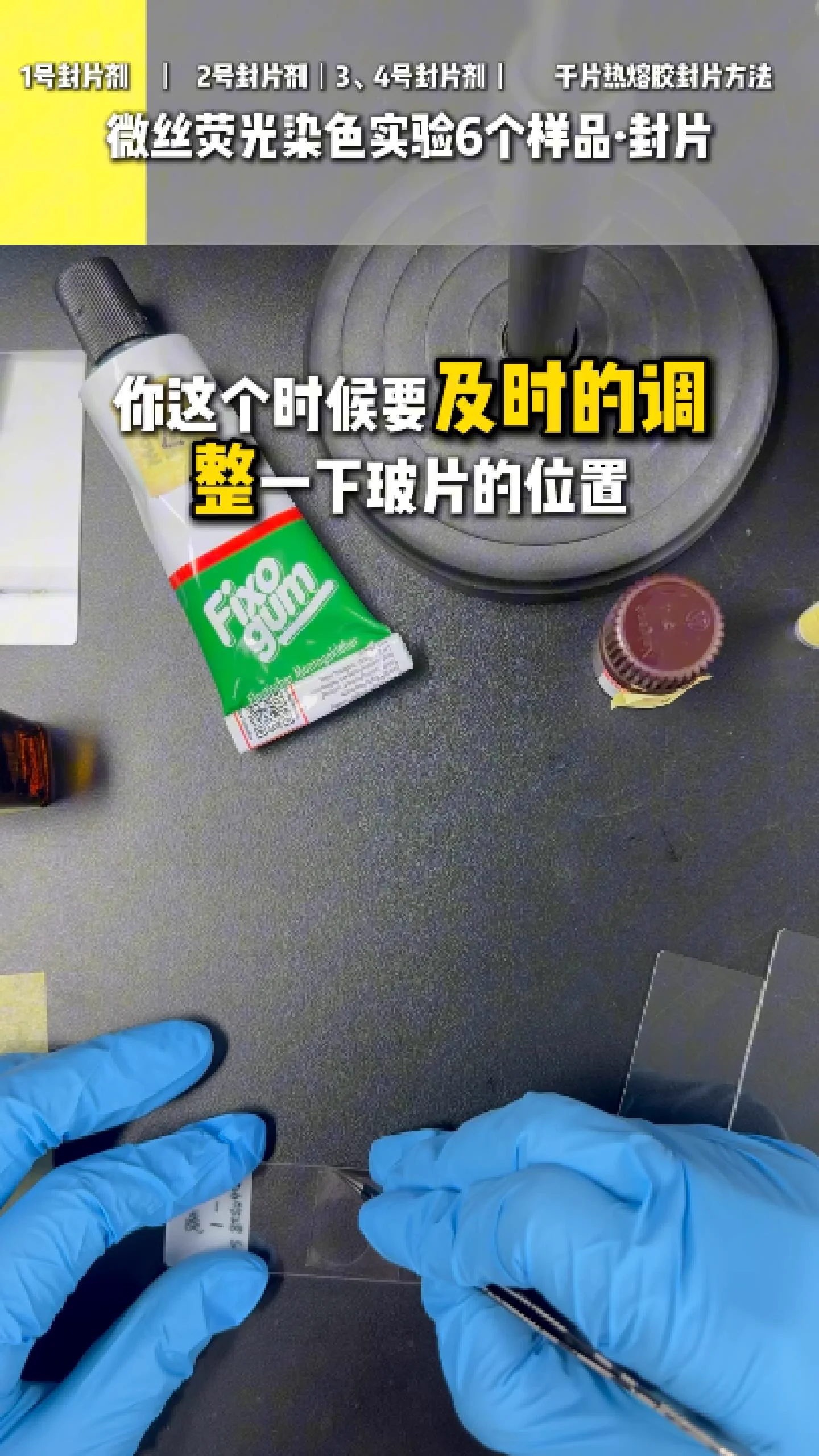 一号封片剂 2