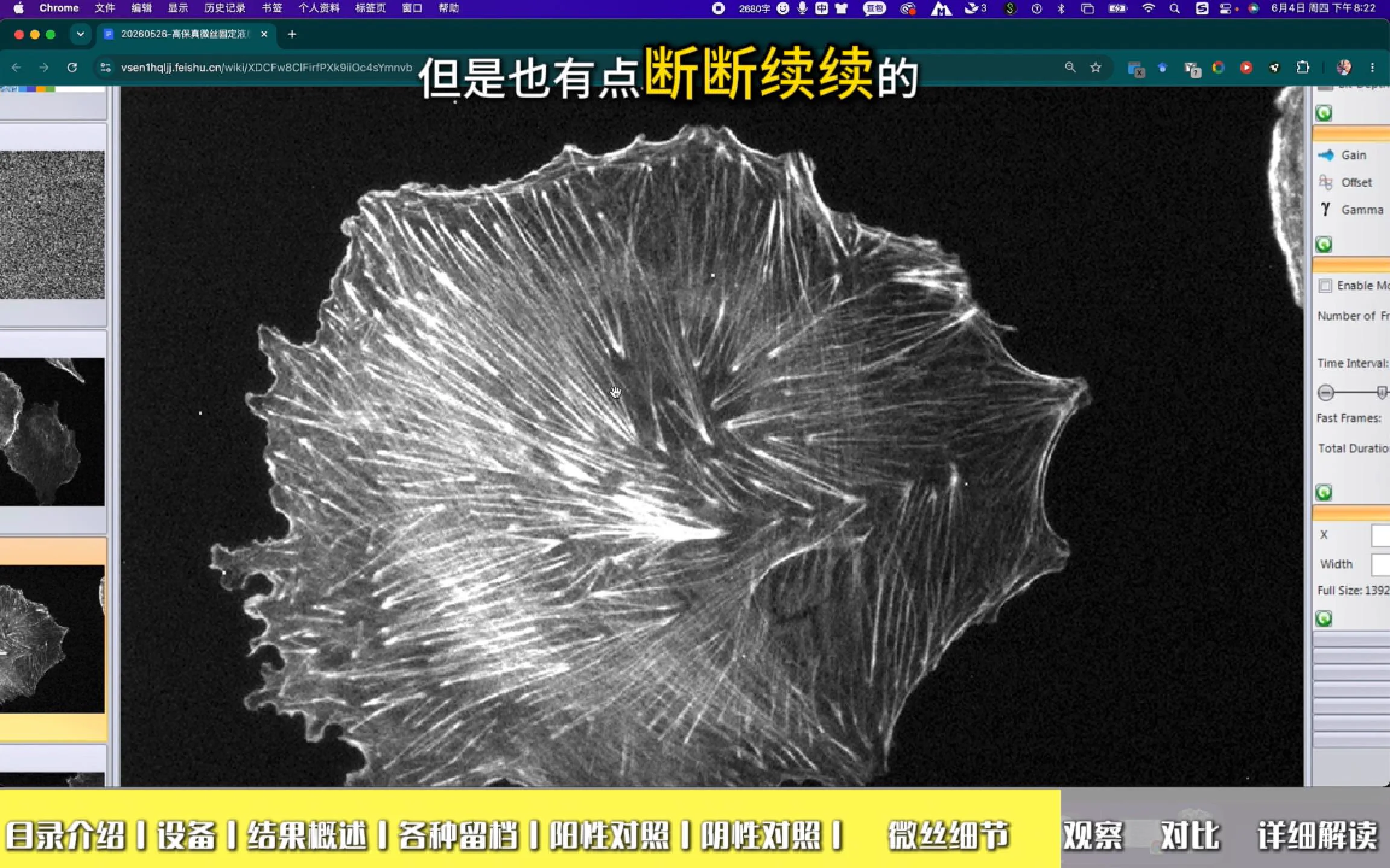 连续无断点
