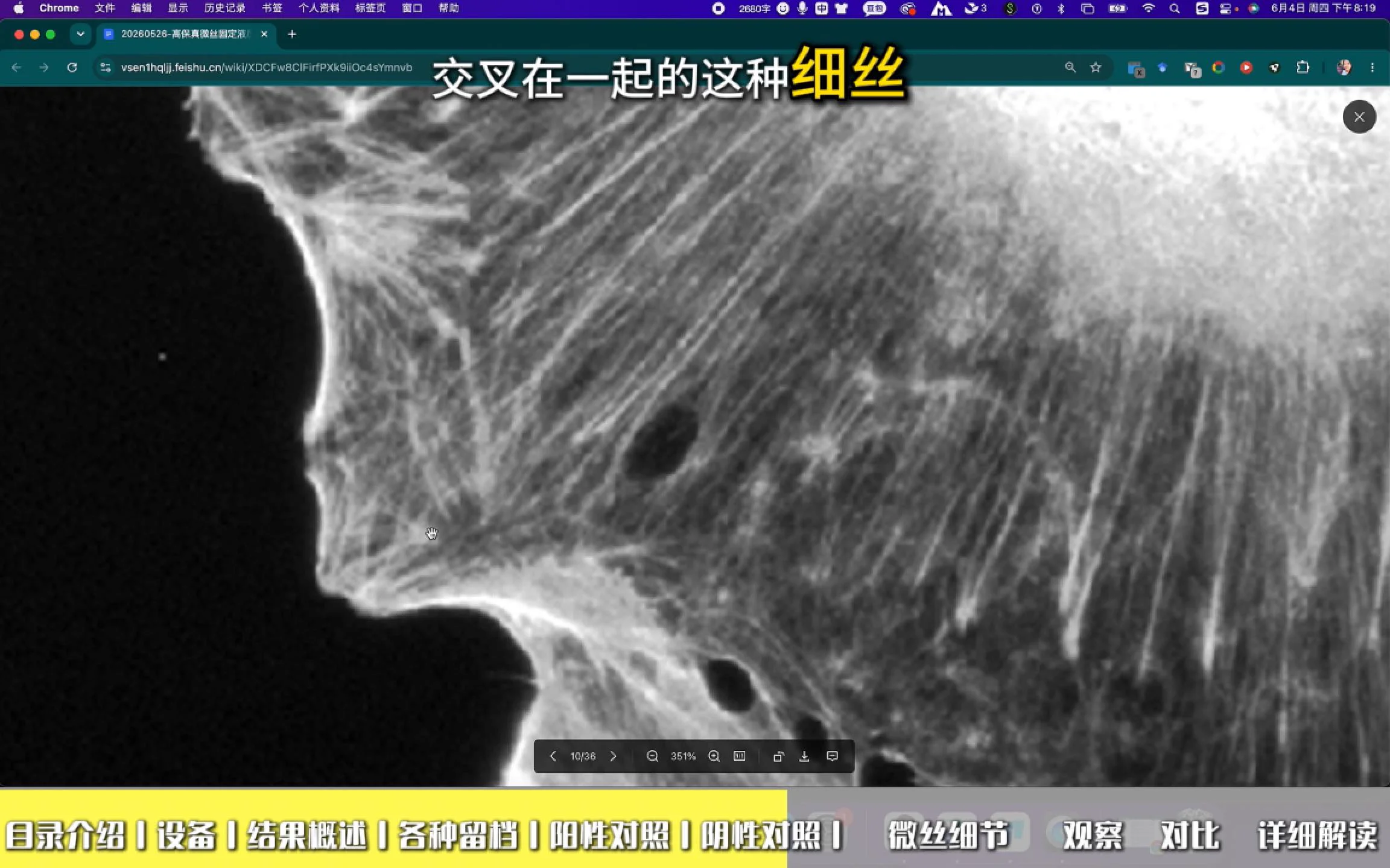 微丝细节细腻分明 2