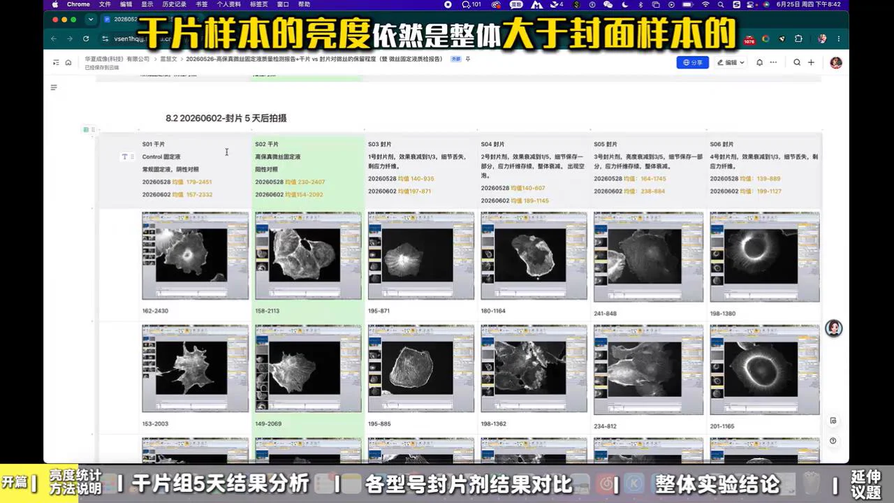 整体样本对比