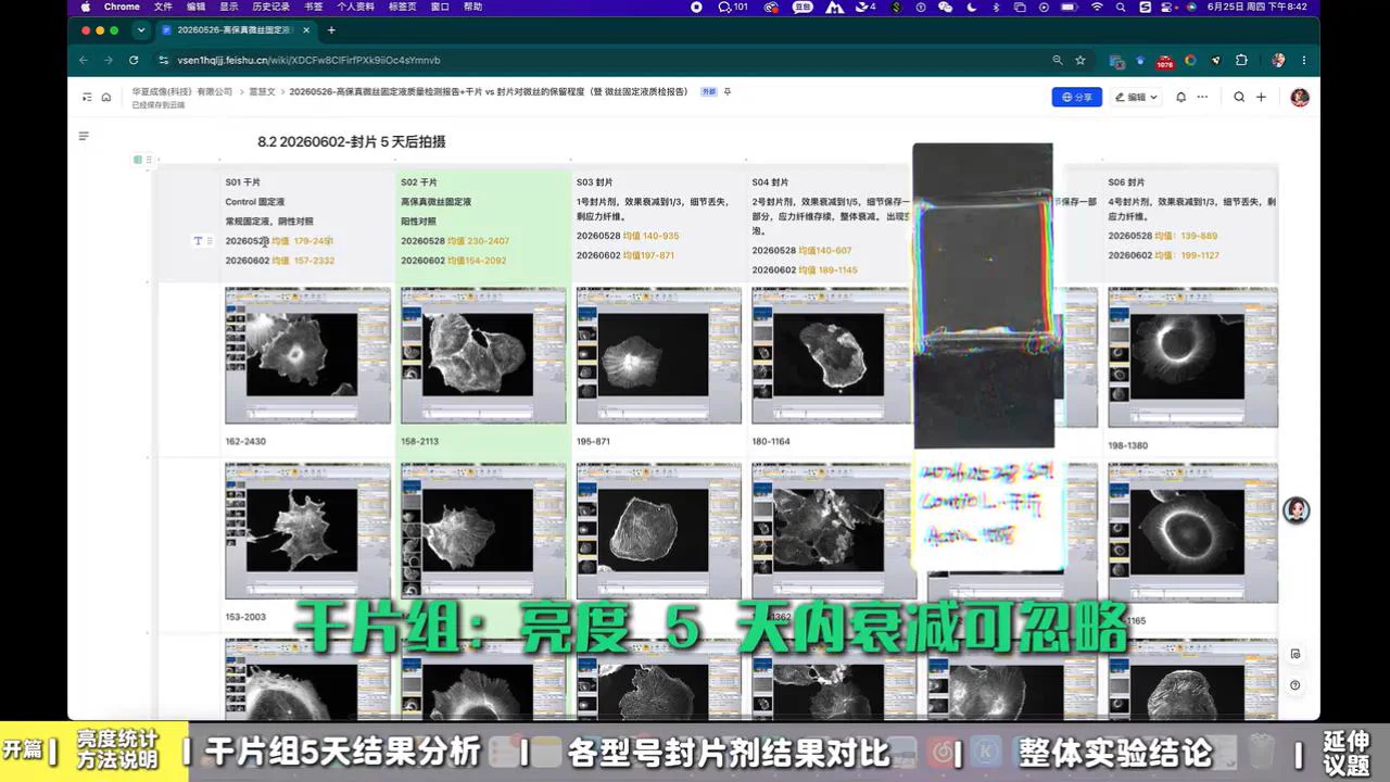 干片样本 5 天内亮度对比