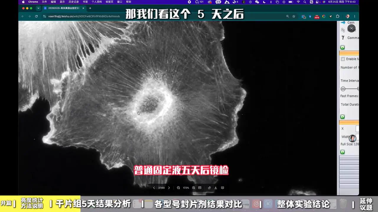 普通固定液 5 天后 2