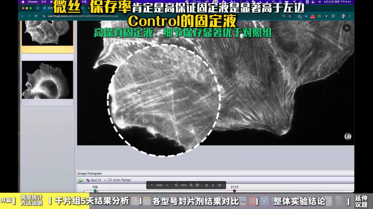 高保真微丝固定液组 2