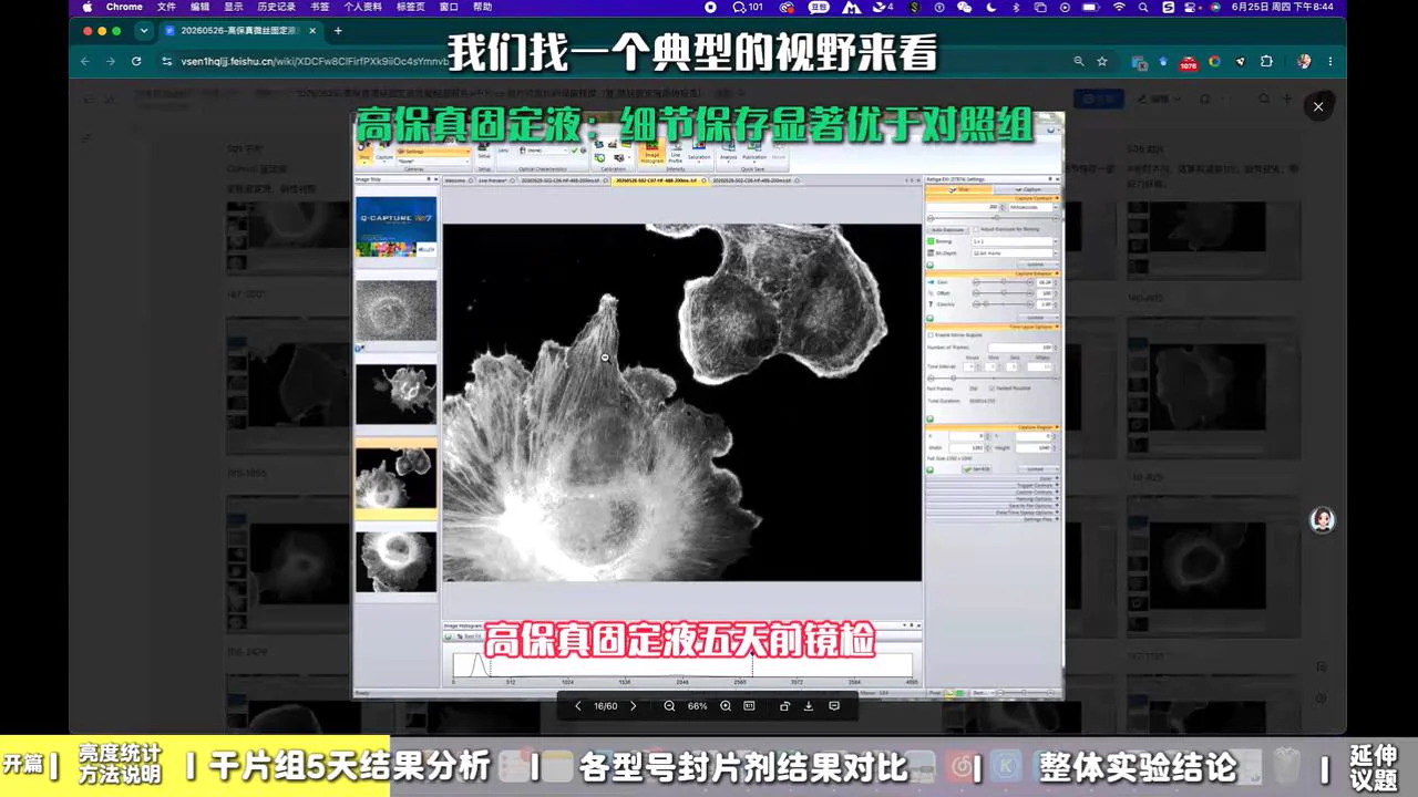 5 天内亮度对比 1